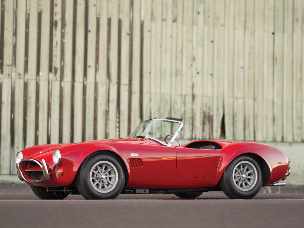 shelby-3