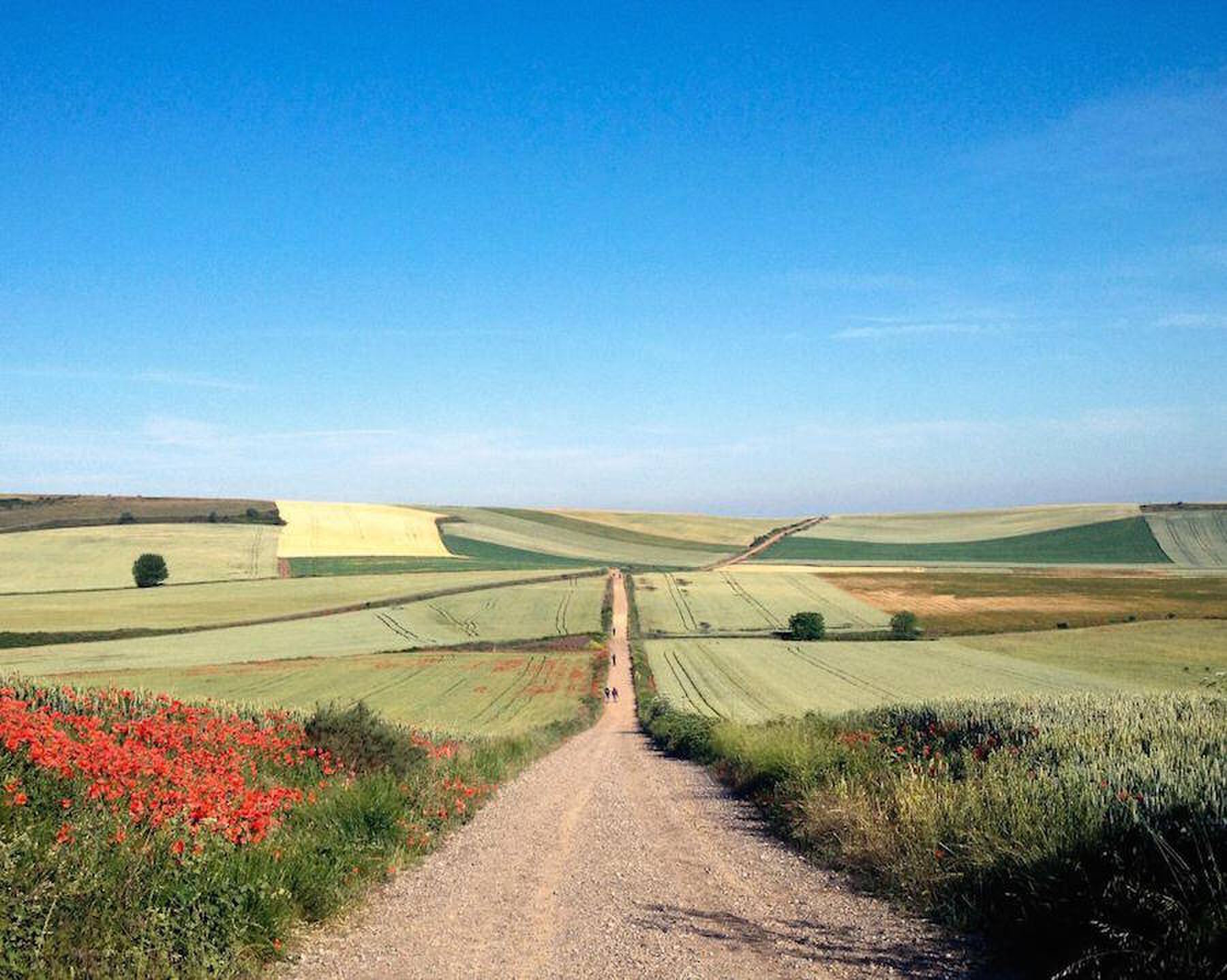 national-geographic-6