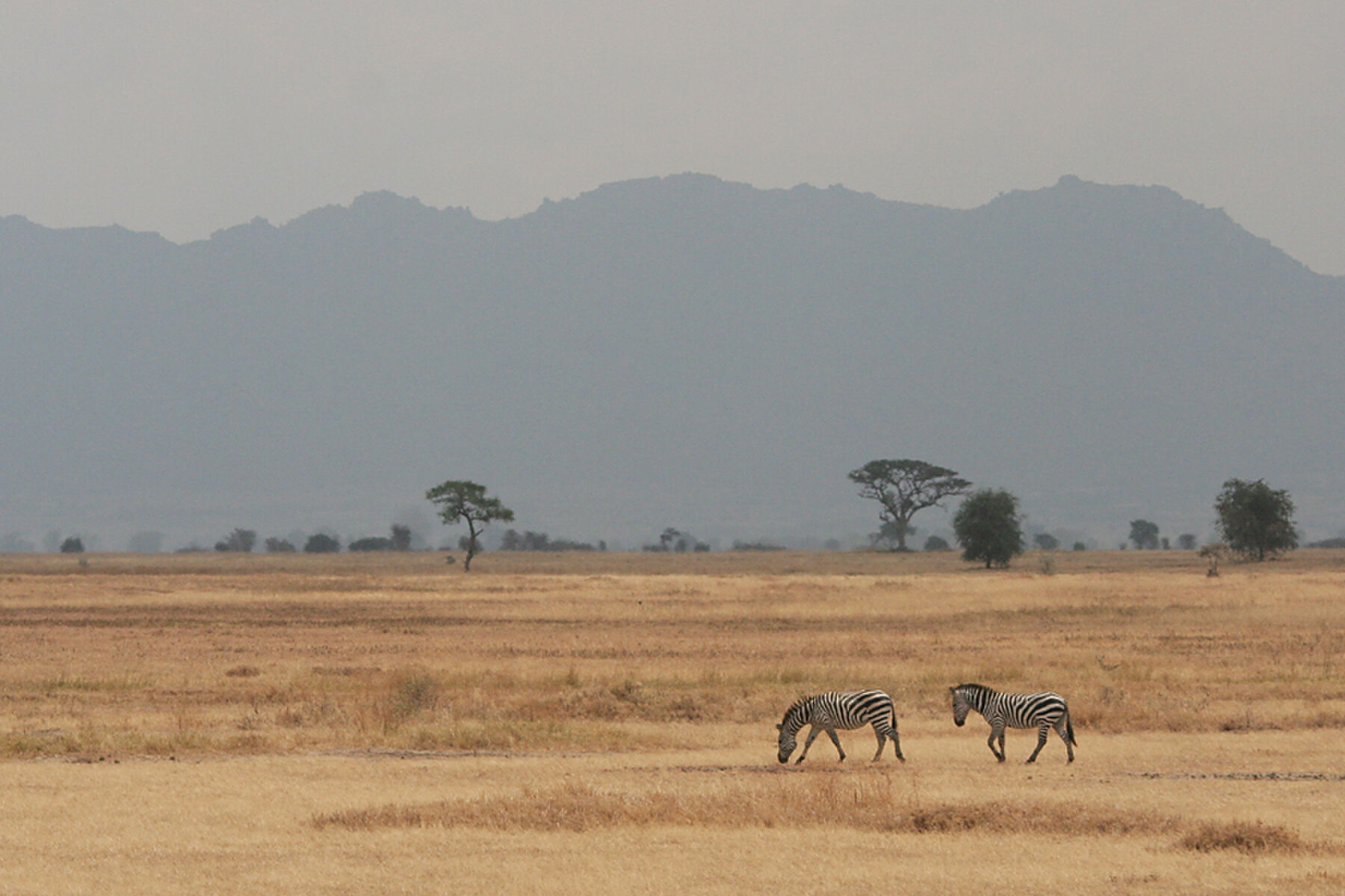 tien-reisbestemmingen-8