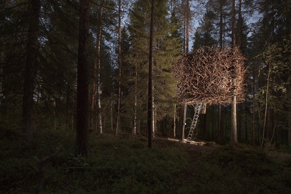 -nest-2