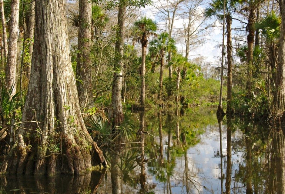 man man florida everglades