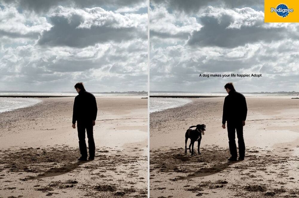 Geniale ads0