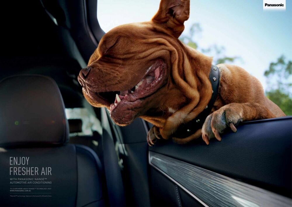 Geniale ads16