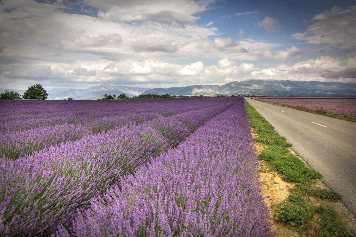 roadtrip frankrijk provence man man