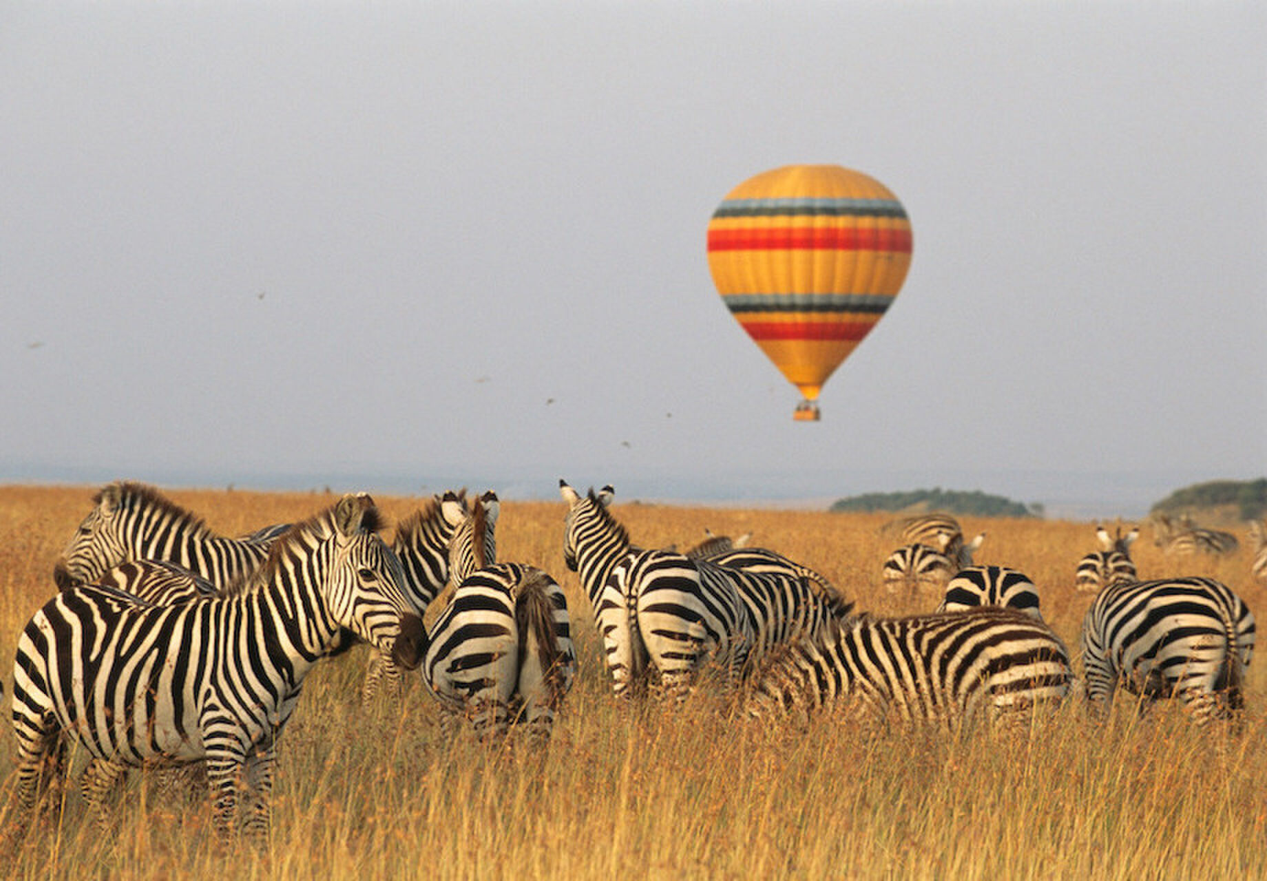 Hete luchtballon ten huwelijk vragen aanzoek huwelijksaanzoek trouwen MAN MAN