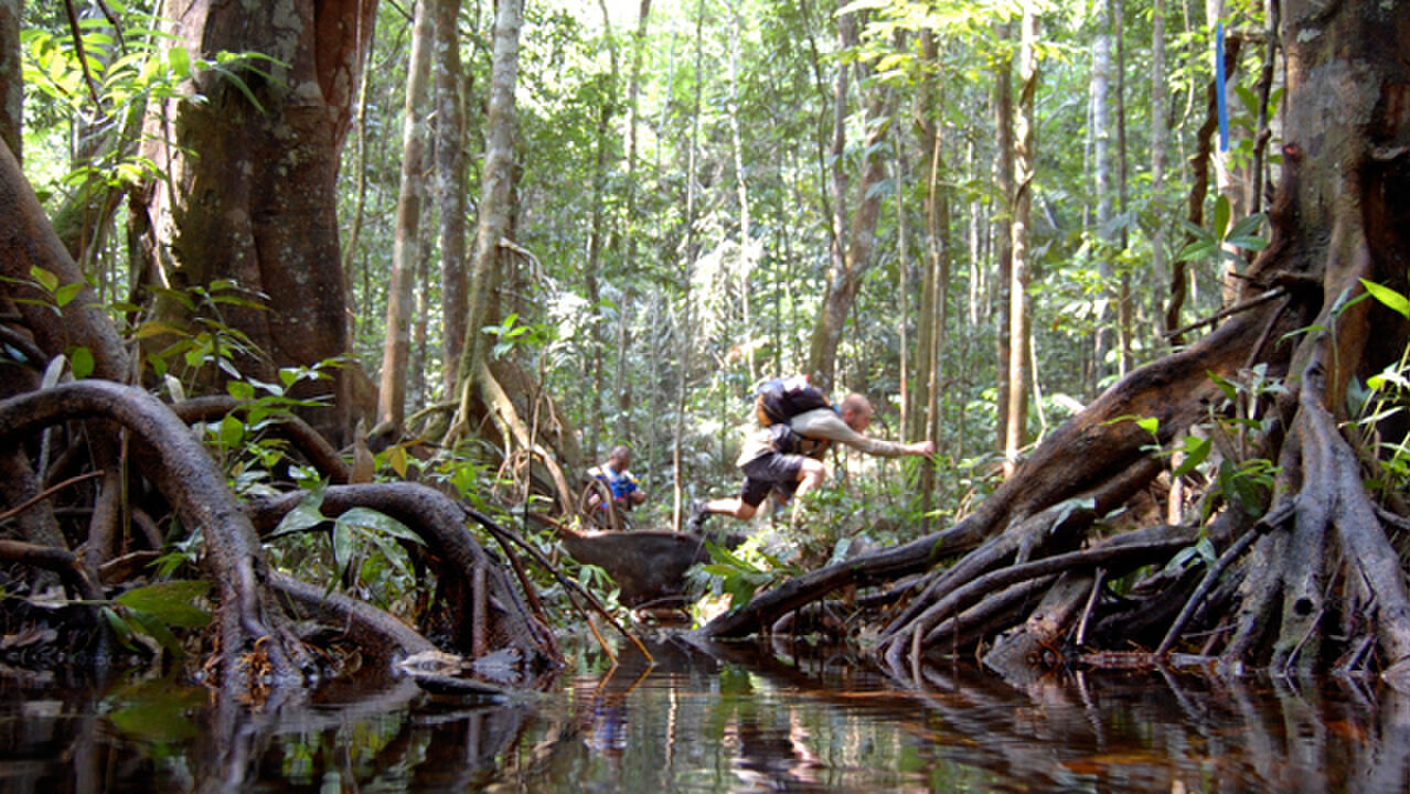 the jungle forrest man man