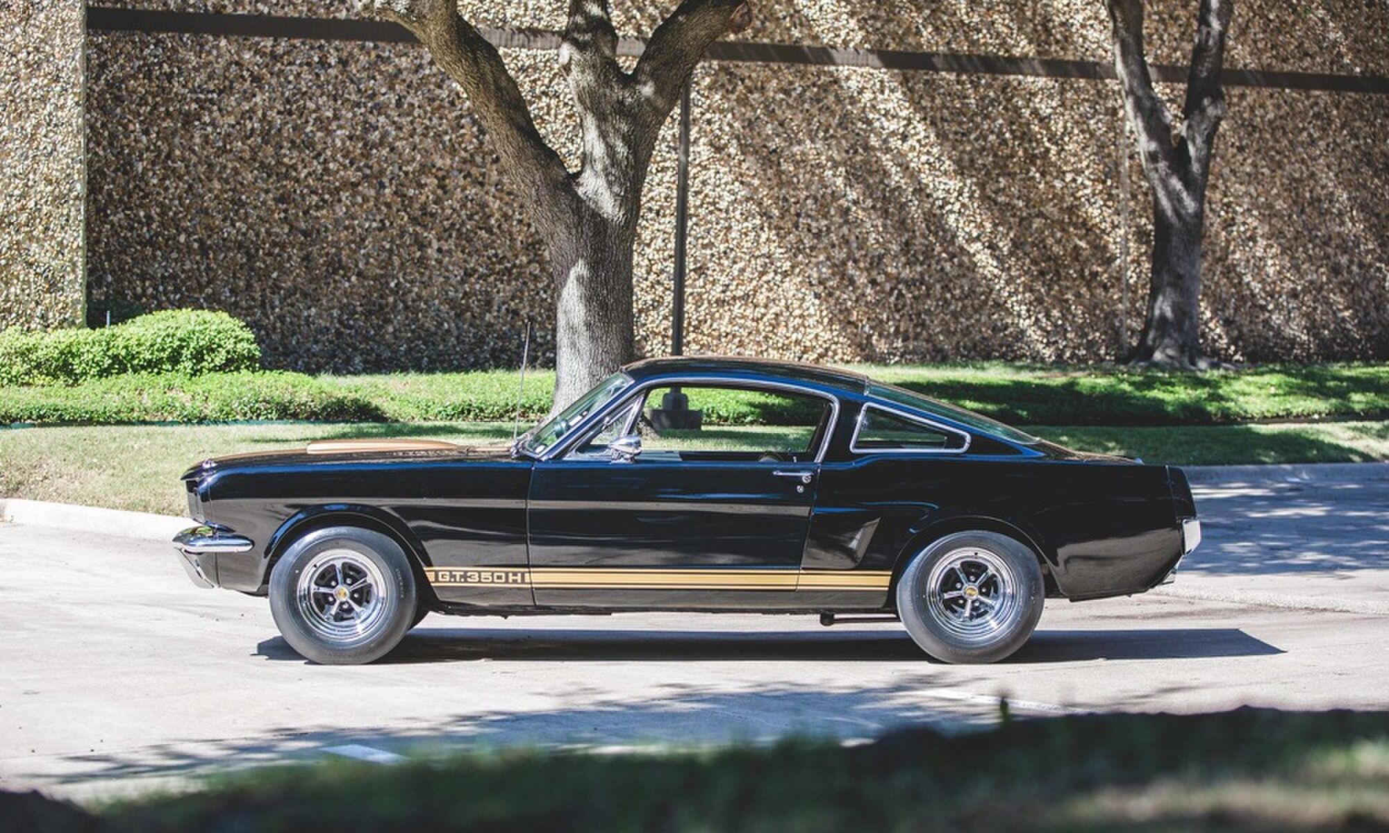 Carroll Shelby-auto-zwart en goud-klassieker-1966-Shelby-GT350H-MAN MAN