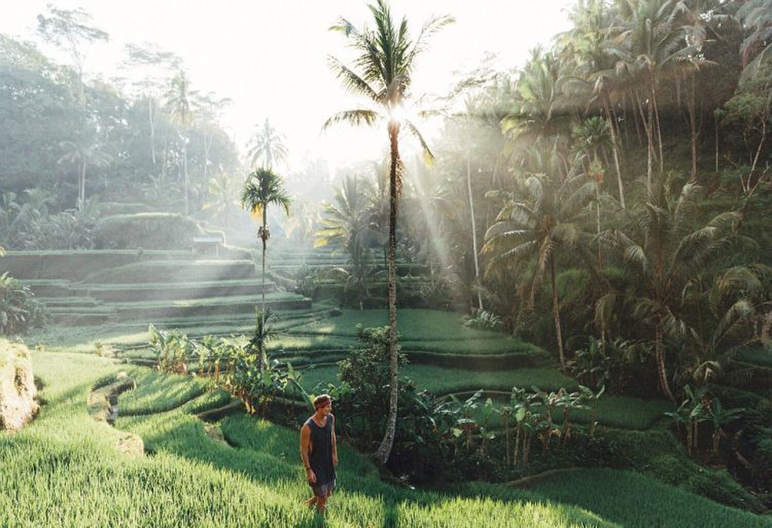 jack-morris-rondreizen-geld-verdienen-sawa's-indonesie-MAN MAN
