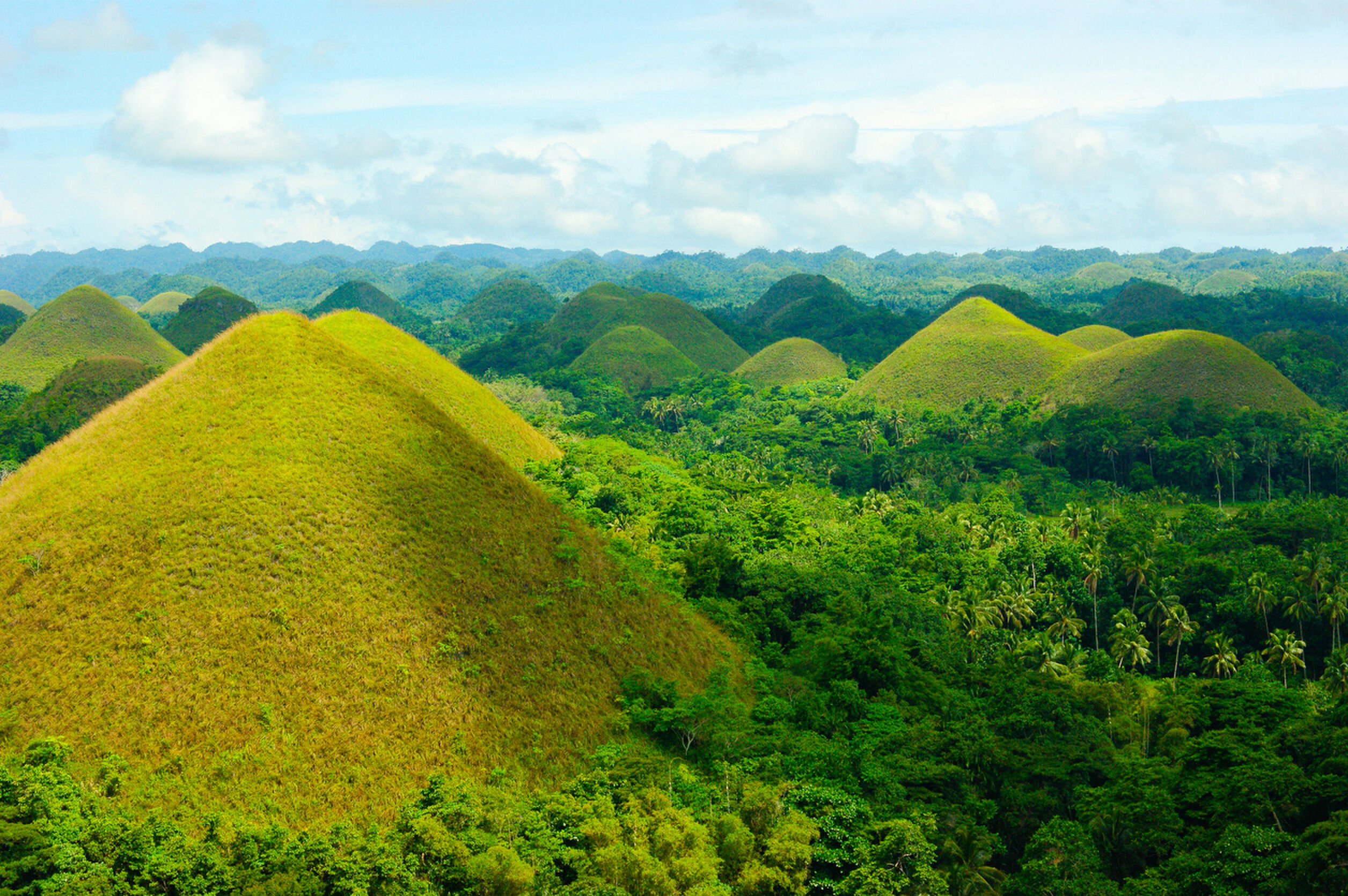 Chocolate Hills on the island of Bohol, Philippines
