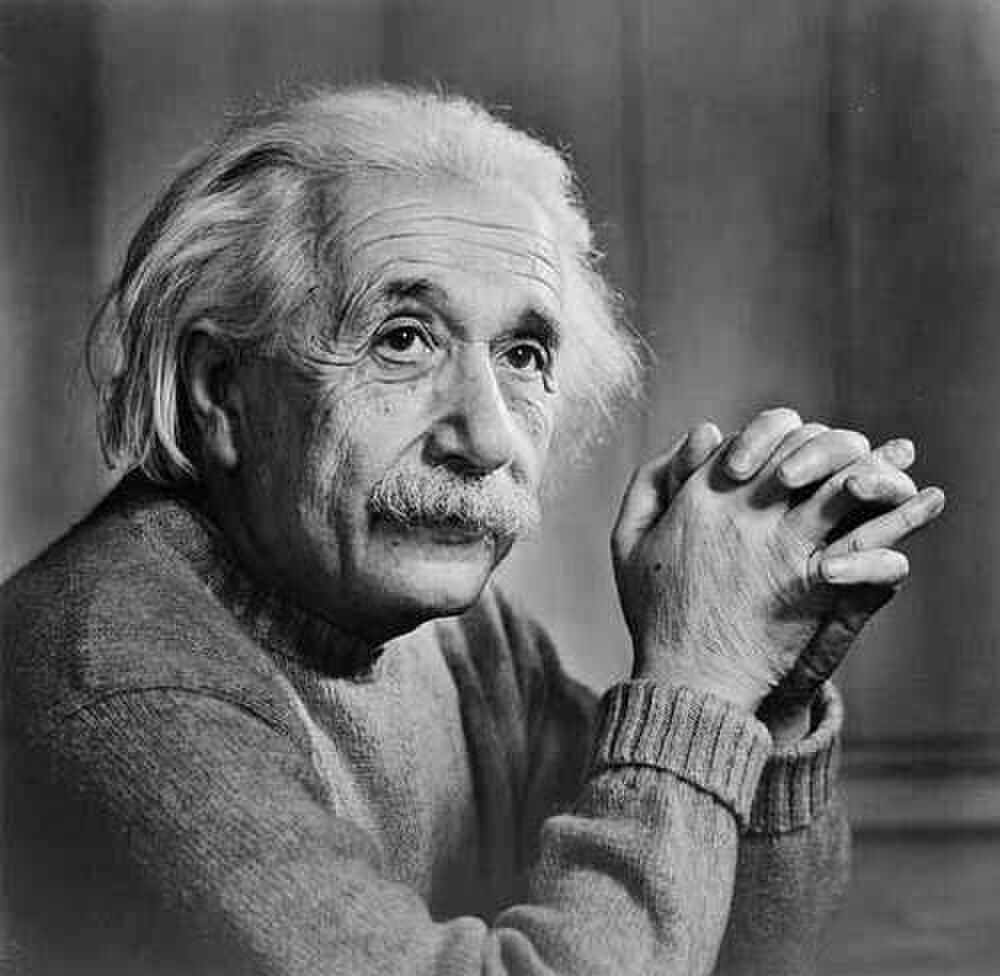 einstein-boeken-musk-manman