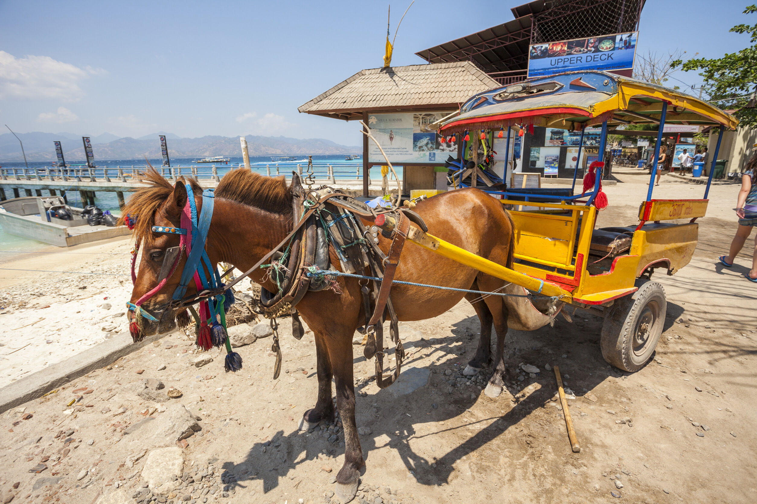 "Gili Trawangan, Indonesia - September 14, 2012: Horse and cart wait by the main pier at Gili Trawangan island in Indonesia. People can be seen in the background. The island doesn't allow motorised cars or scooters."