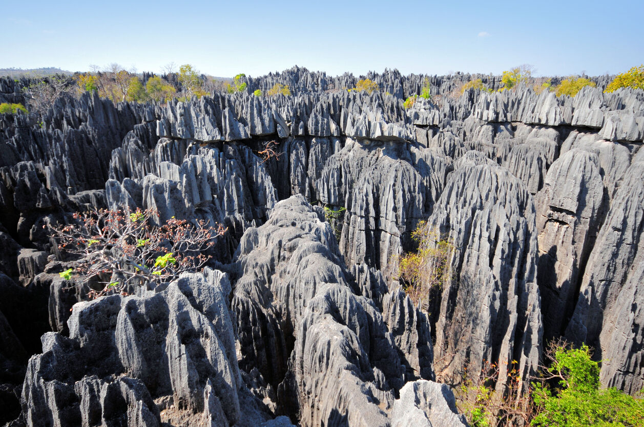 Tsingy de Bemaraha, Madagascar