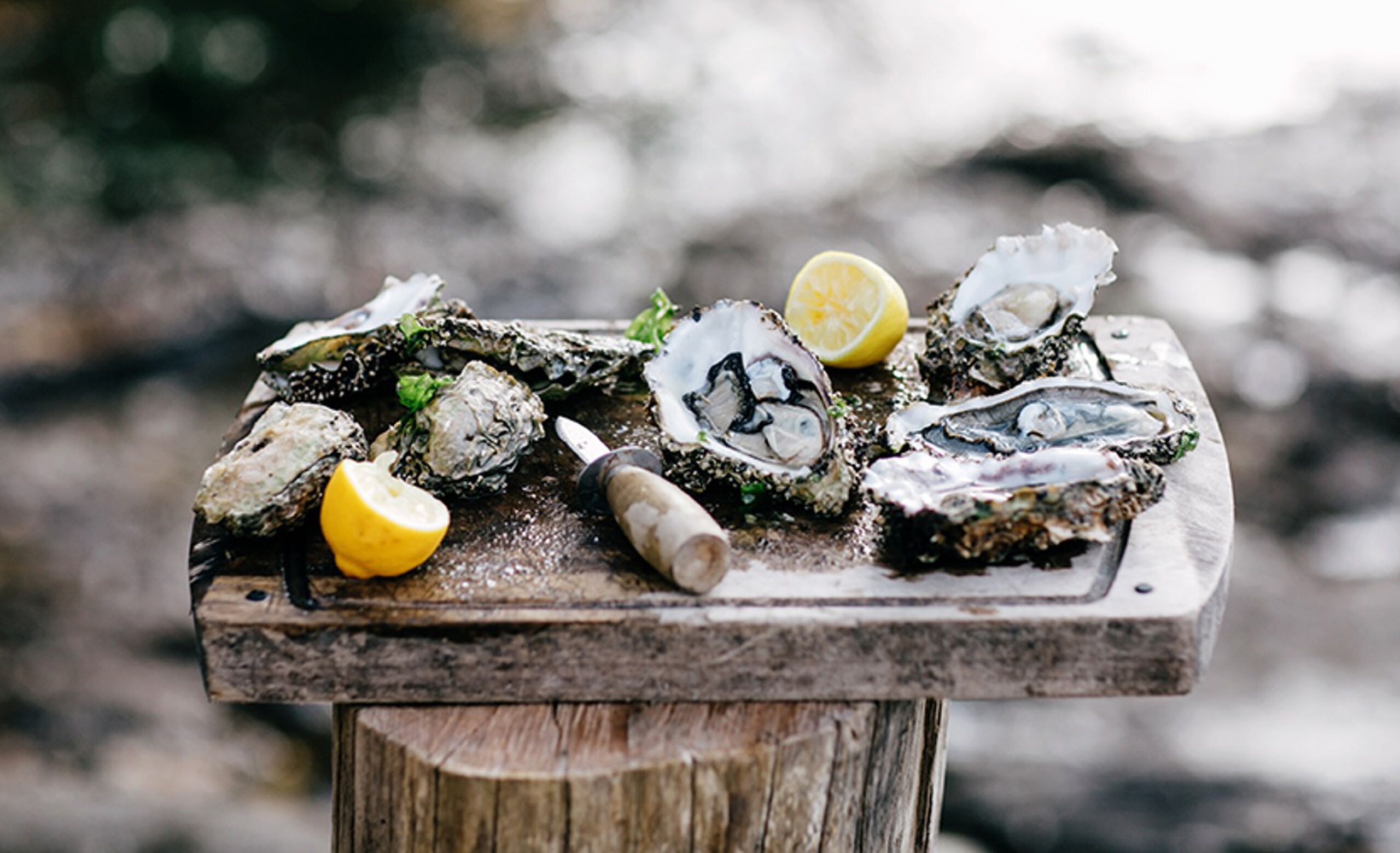 containerwoning Tasmanië MAN MAN