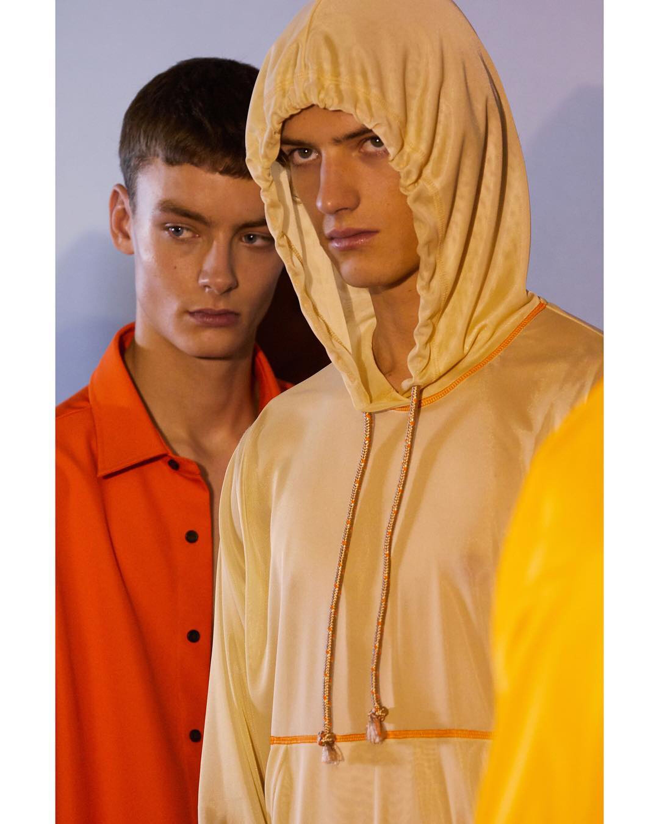 Scandinavische merken