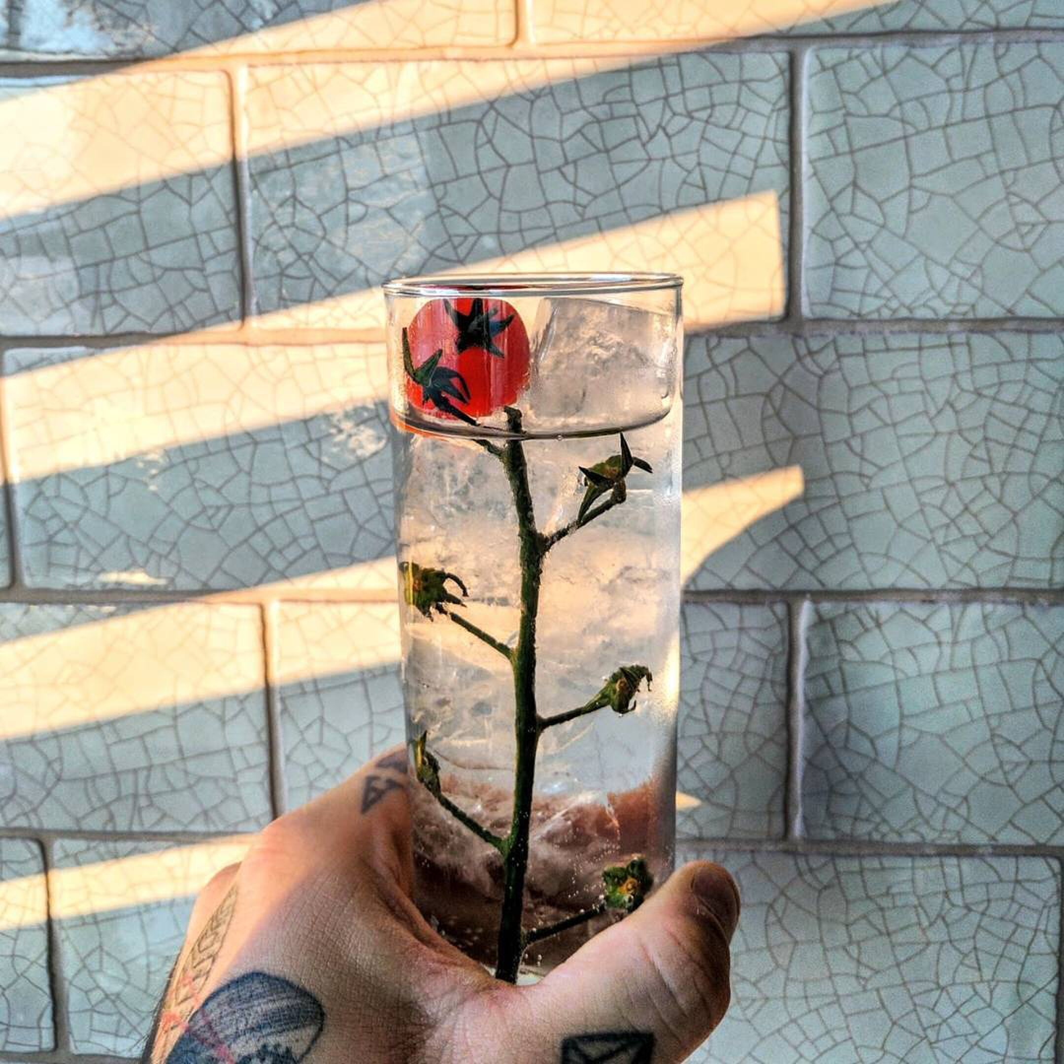 The Cocktail Guy MAN MAN