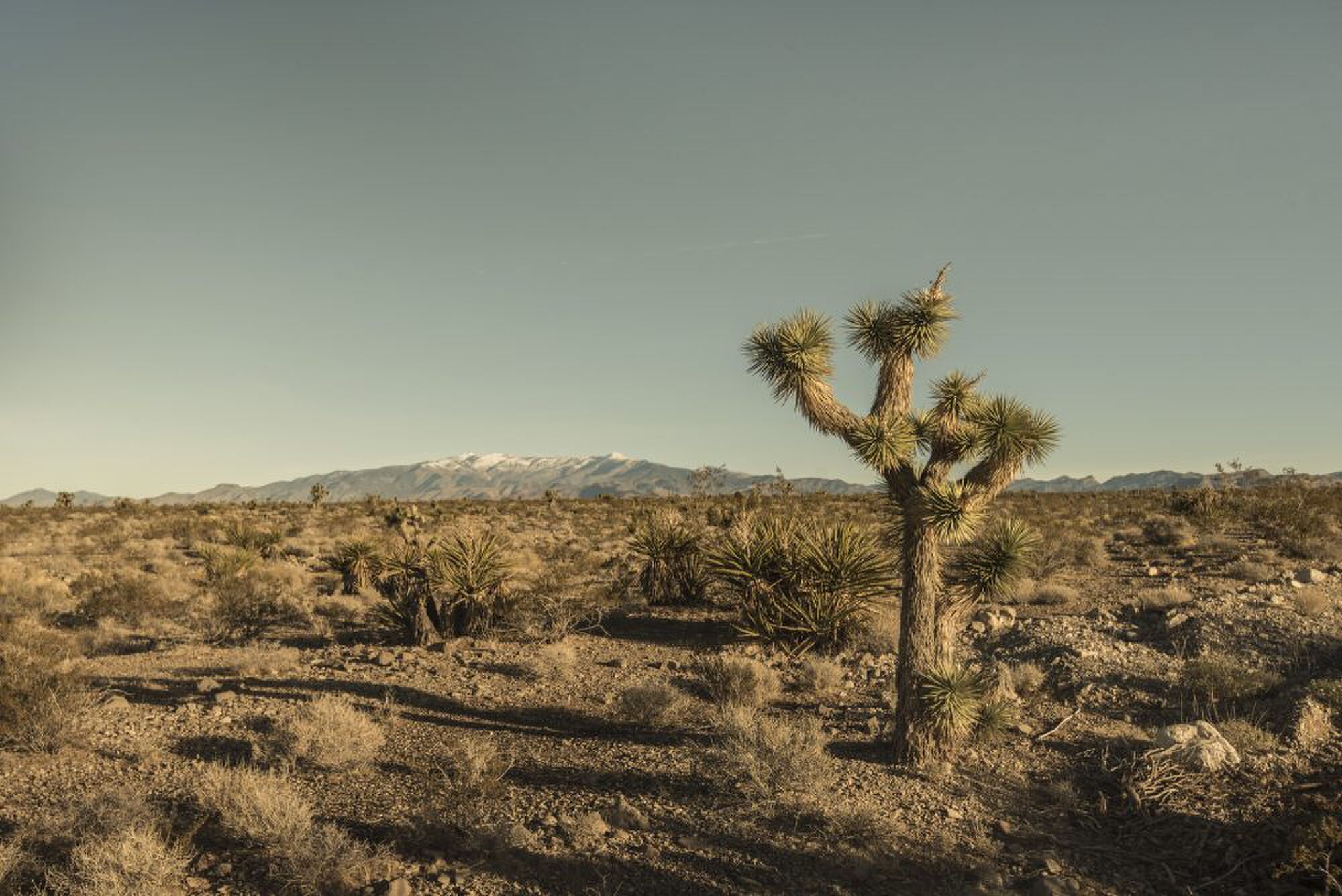 death valley fotoserie
