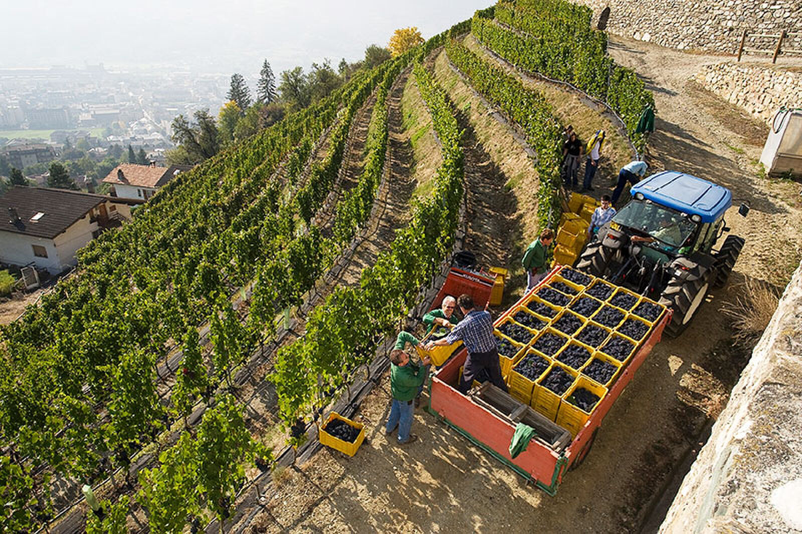 valle daoste wijnen italie