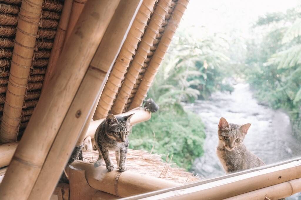 Villa Bali MAN MAN