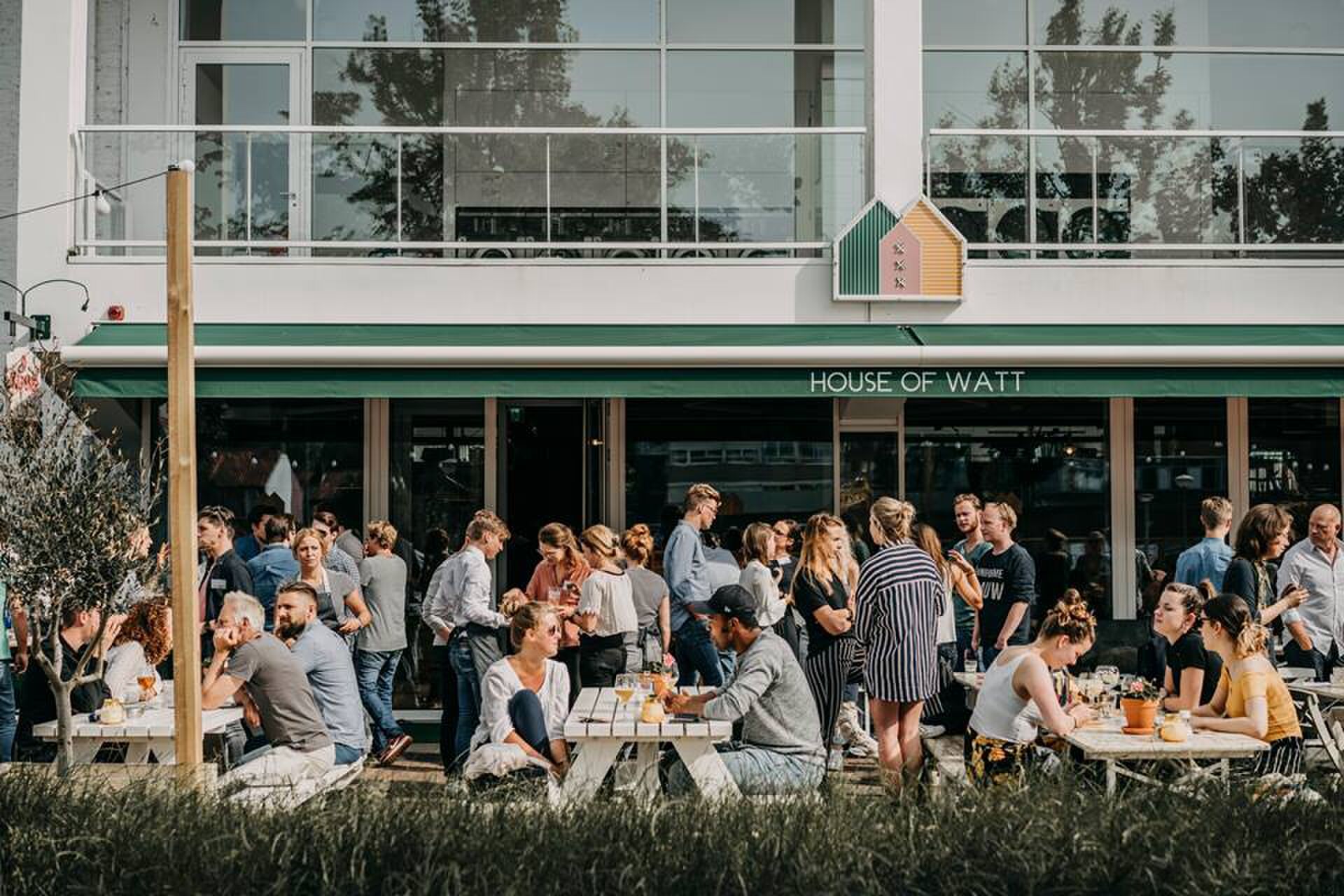 house of watt MAN AMN