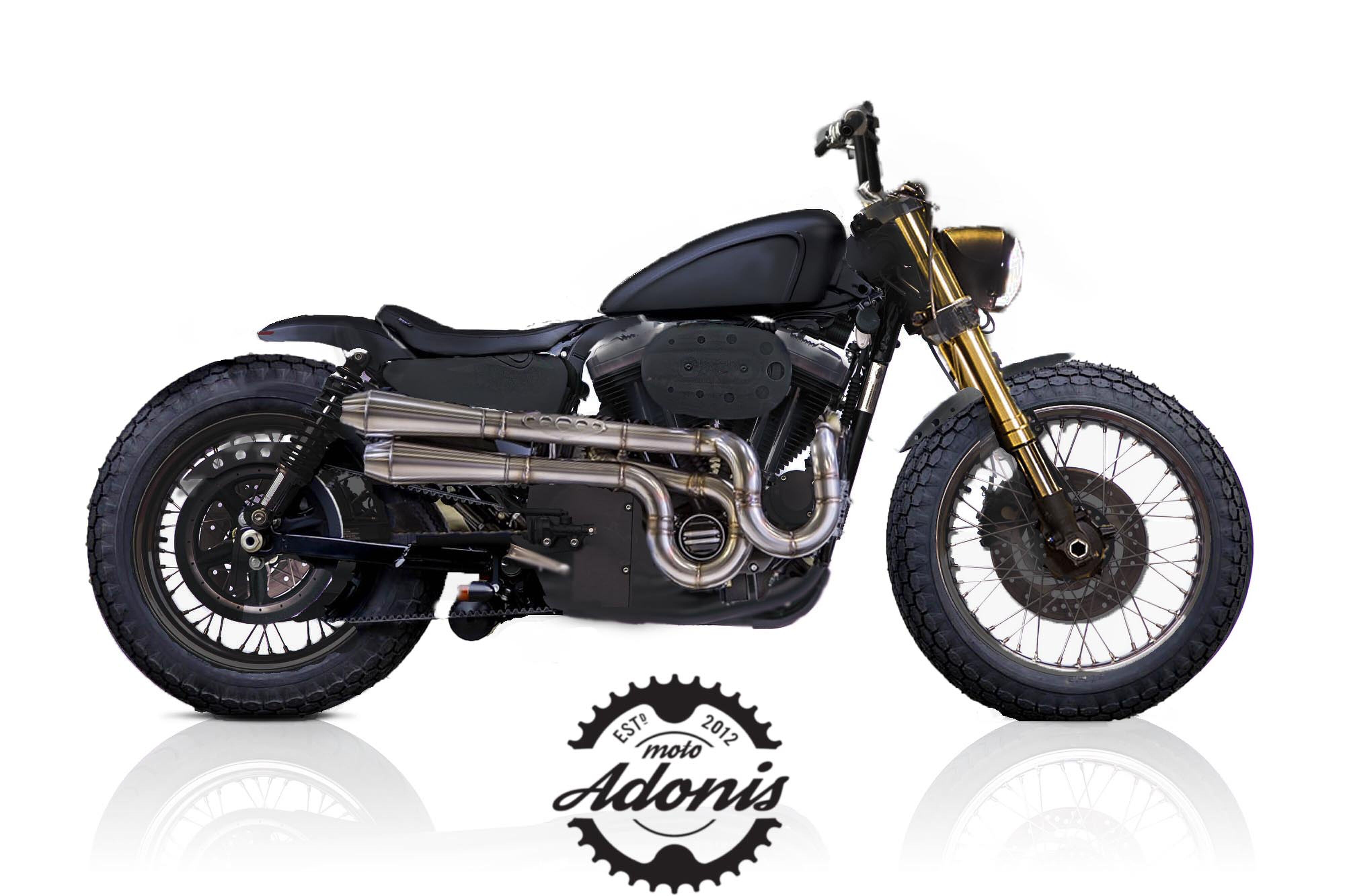 moto adonis harley davidson MAN MAN