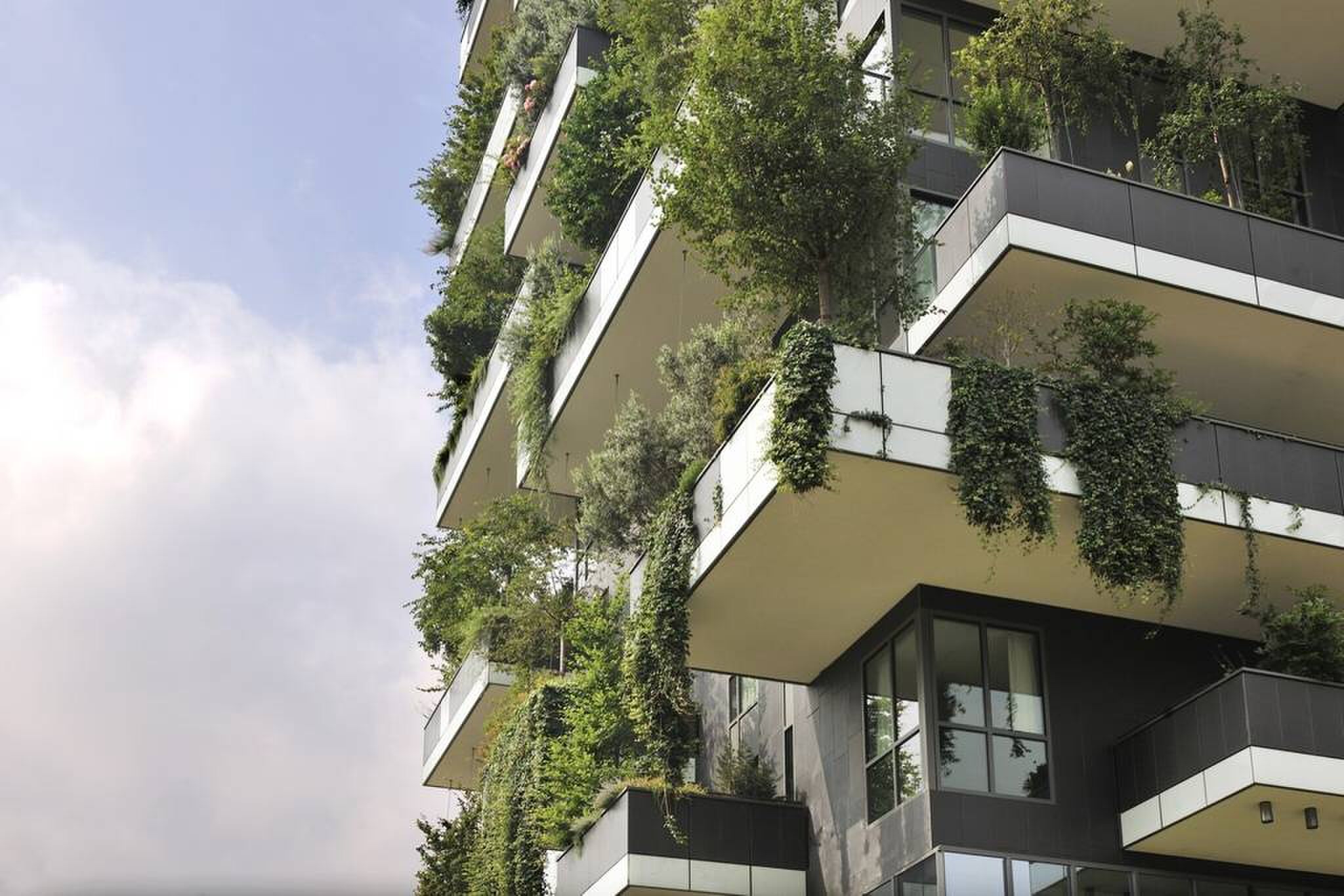woningen bijzonder airbnb