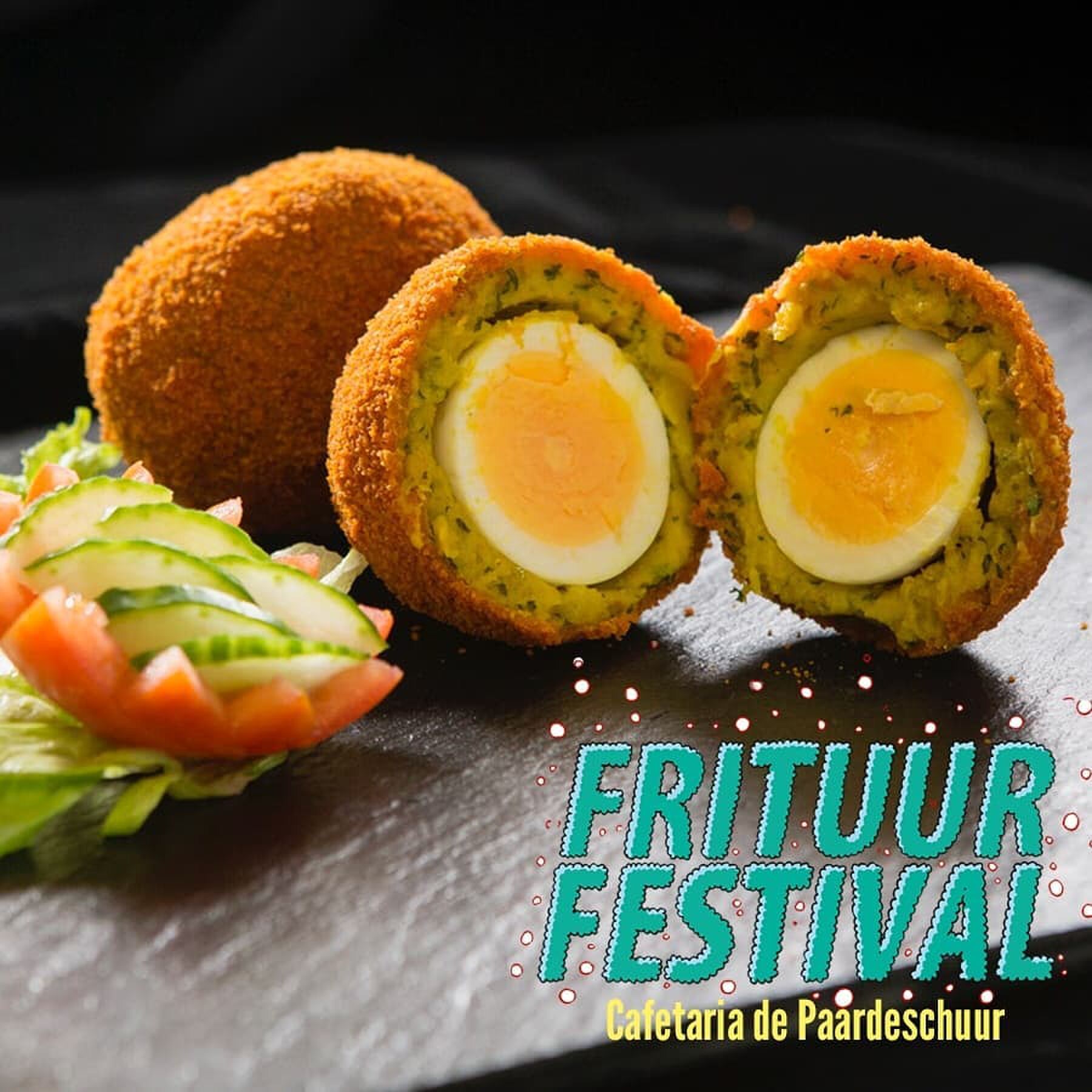 Gronings frituurfestival
