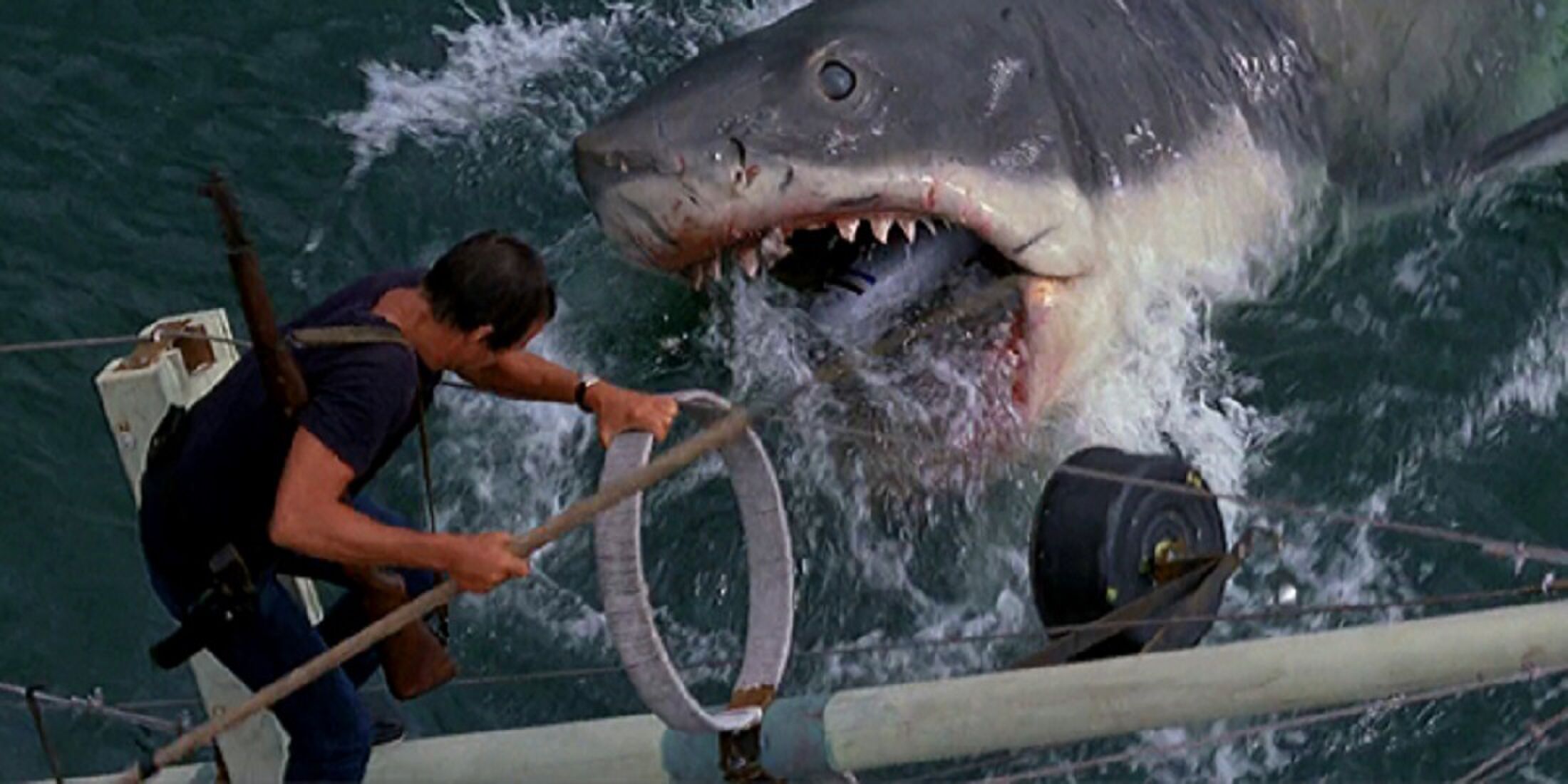 beste boekverfilmingen jaws