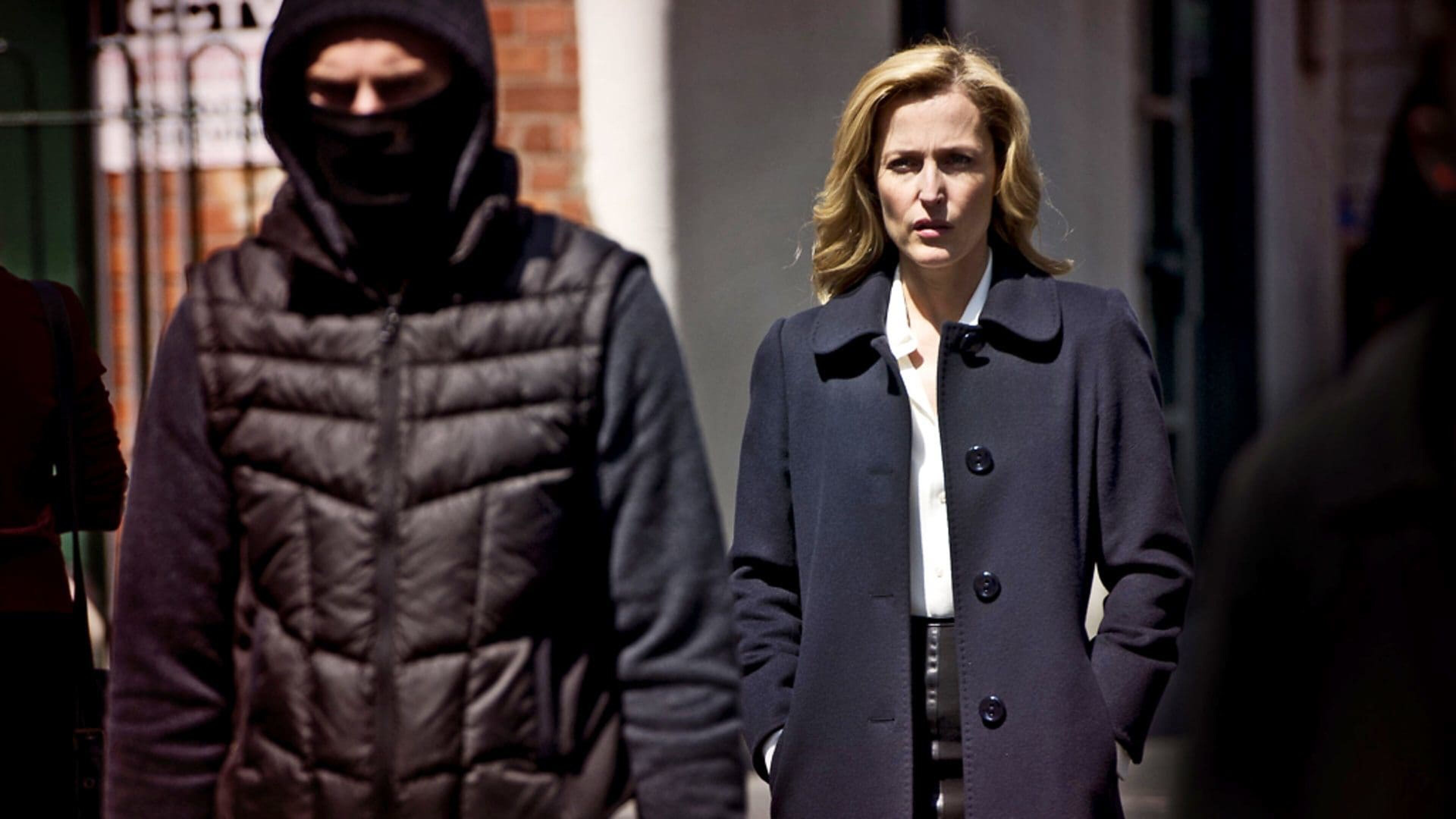 the fall netflix misdaadserie online