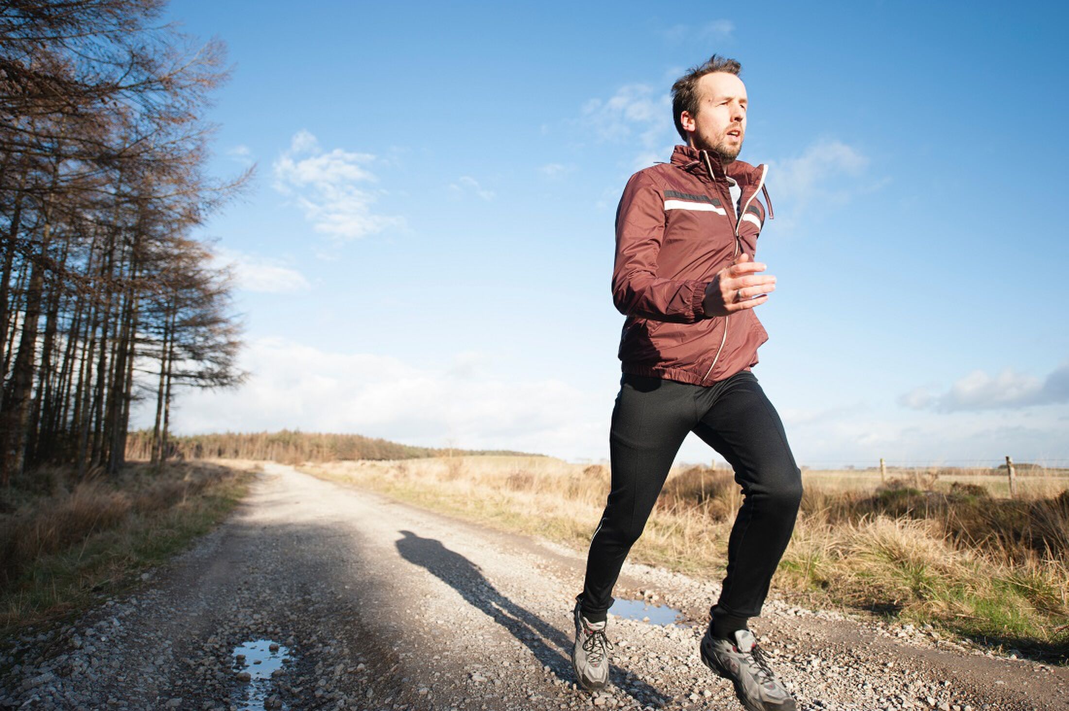 cardio training