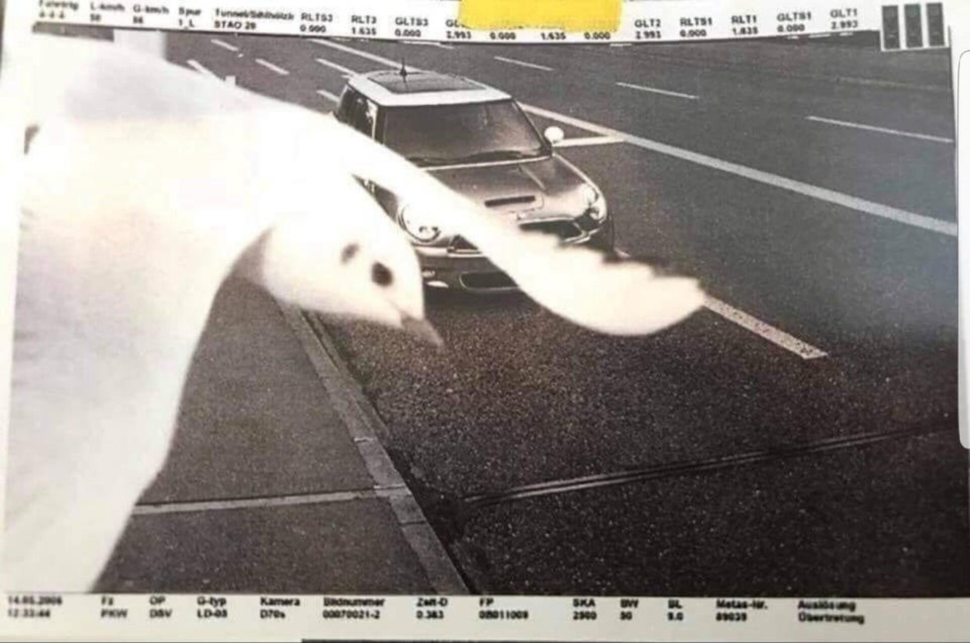 flitspaal geen boete te hard rijden