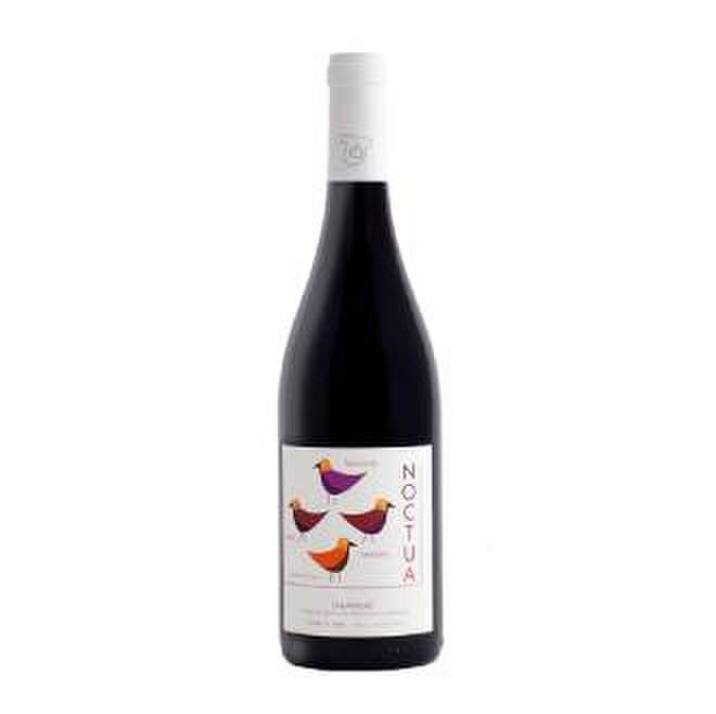 wijn merlot lekker goedkoop