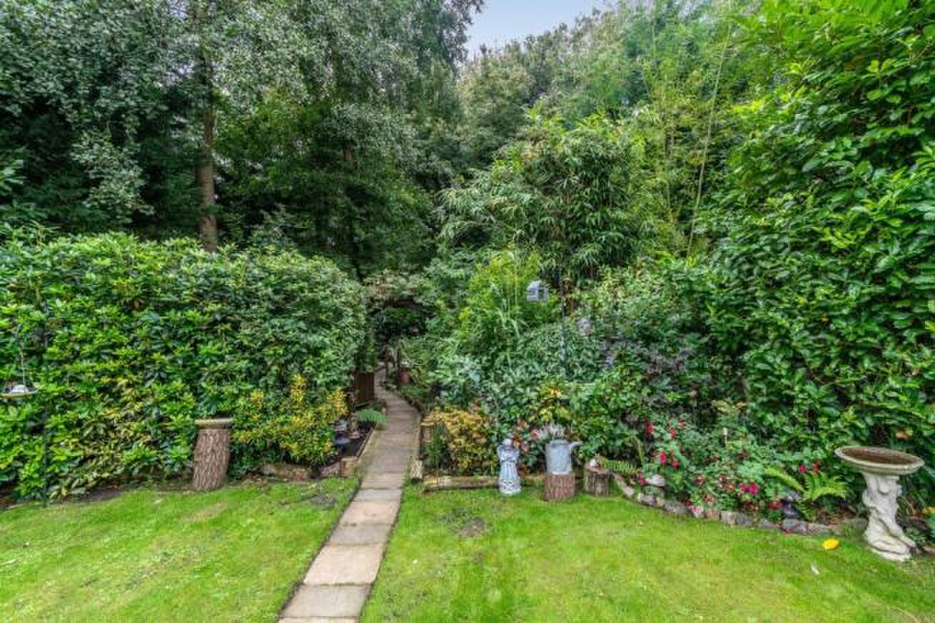 tuin