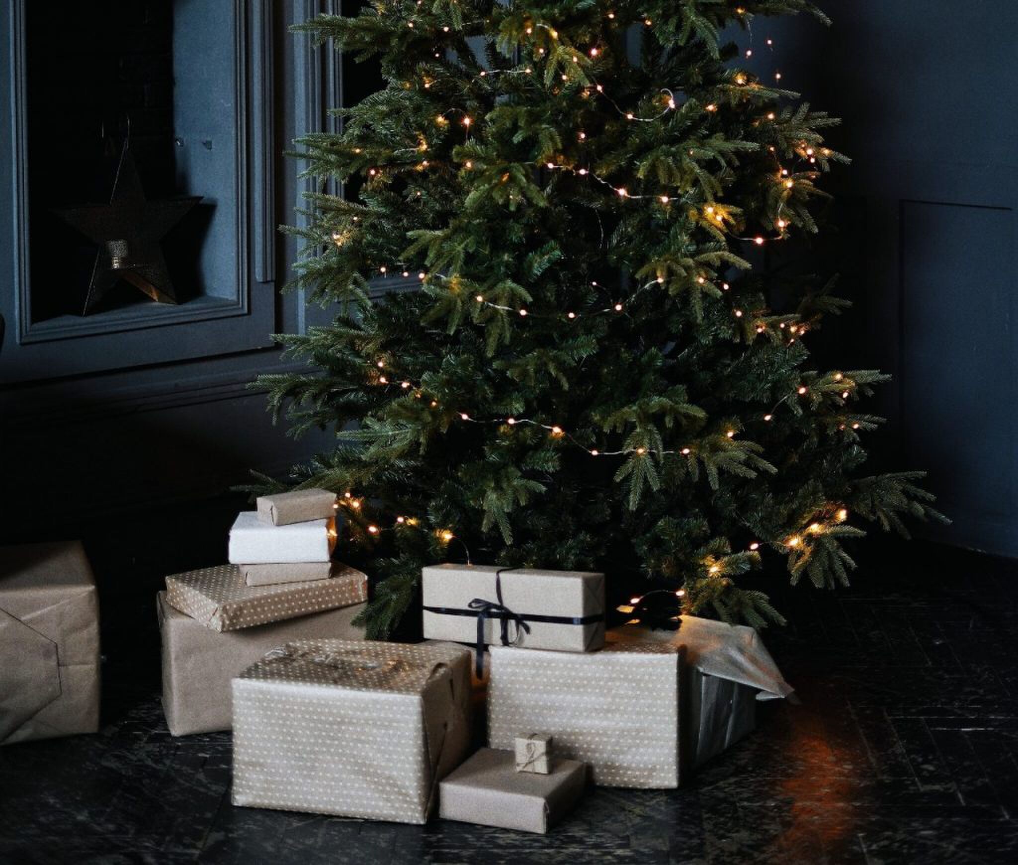 wat is de mooiste kerstboom