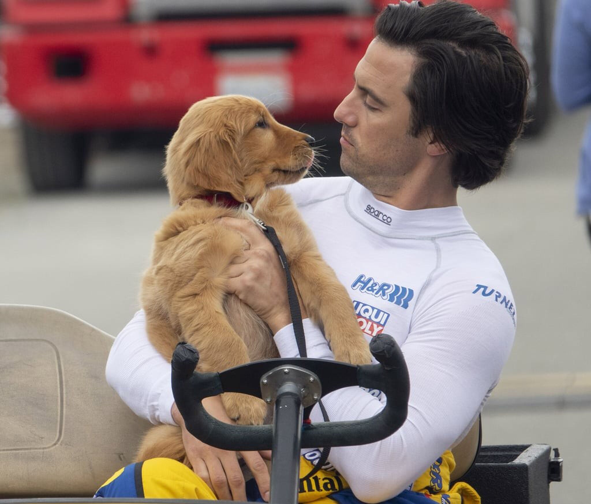 populaire hondennamen