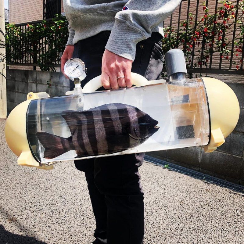 goudvis tank