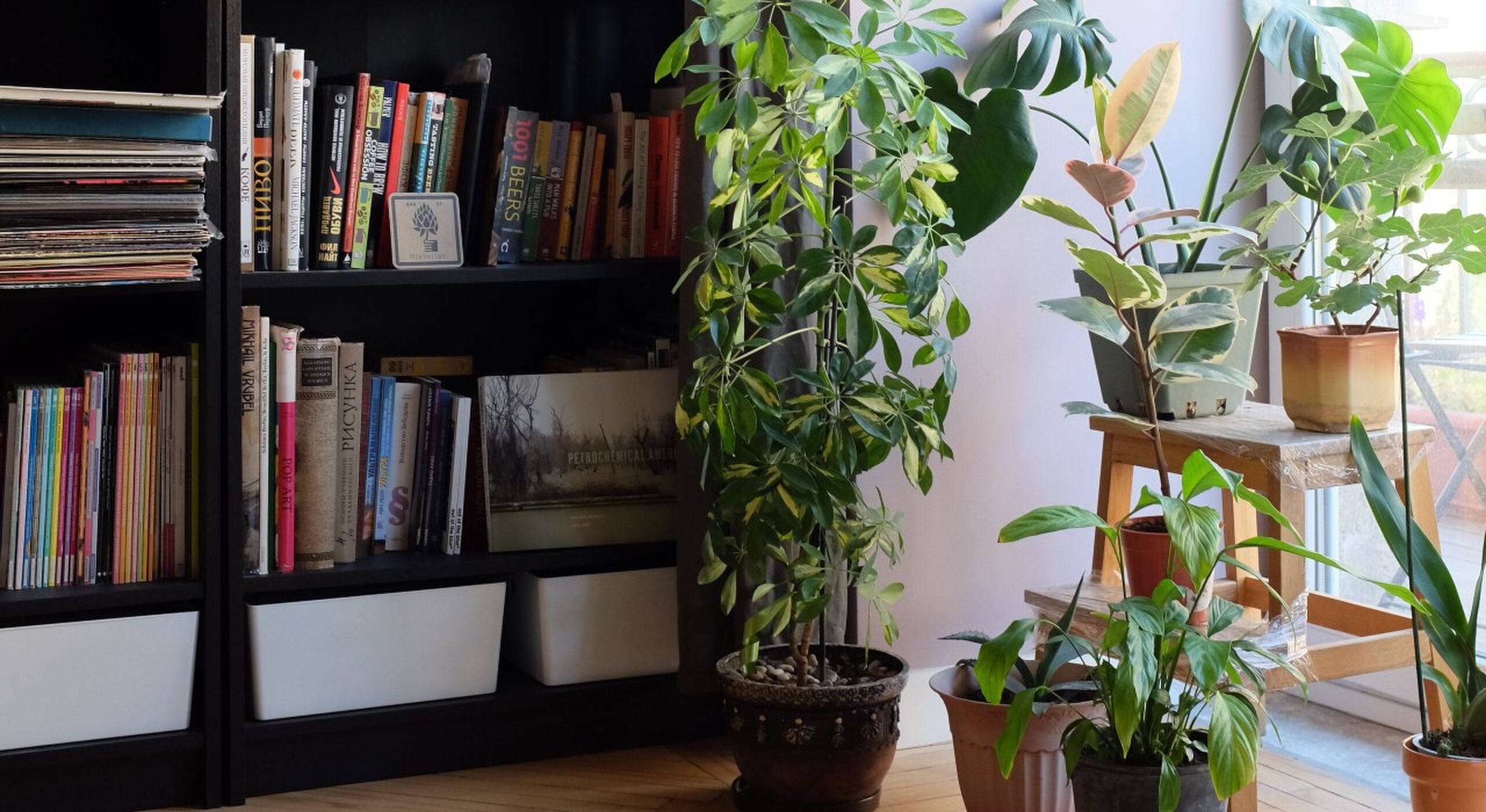 boekenkast in woonkamer
