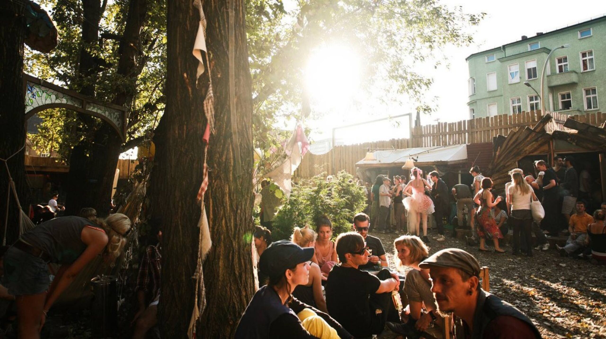 georgies festival 2022