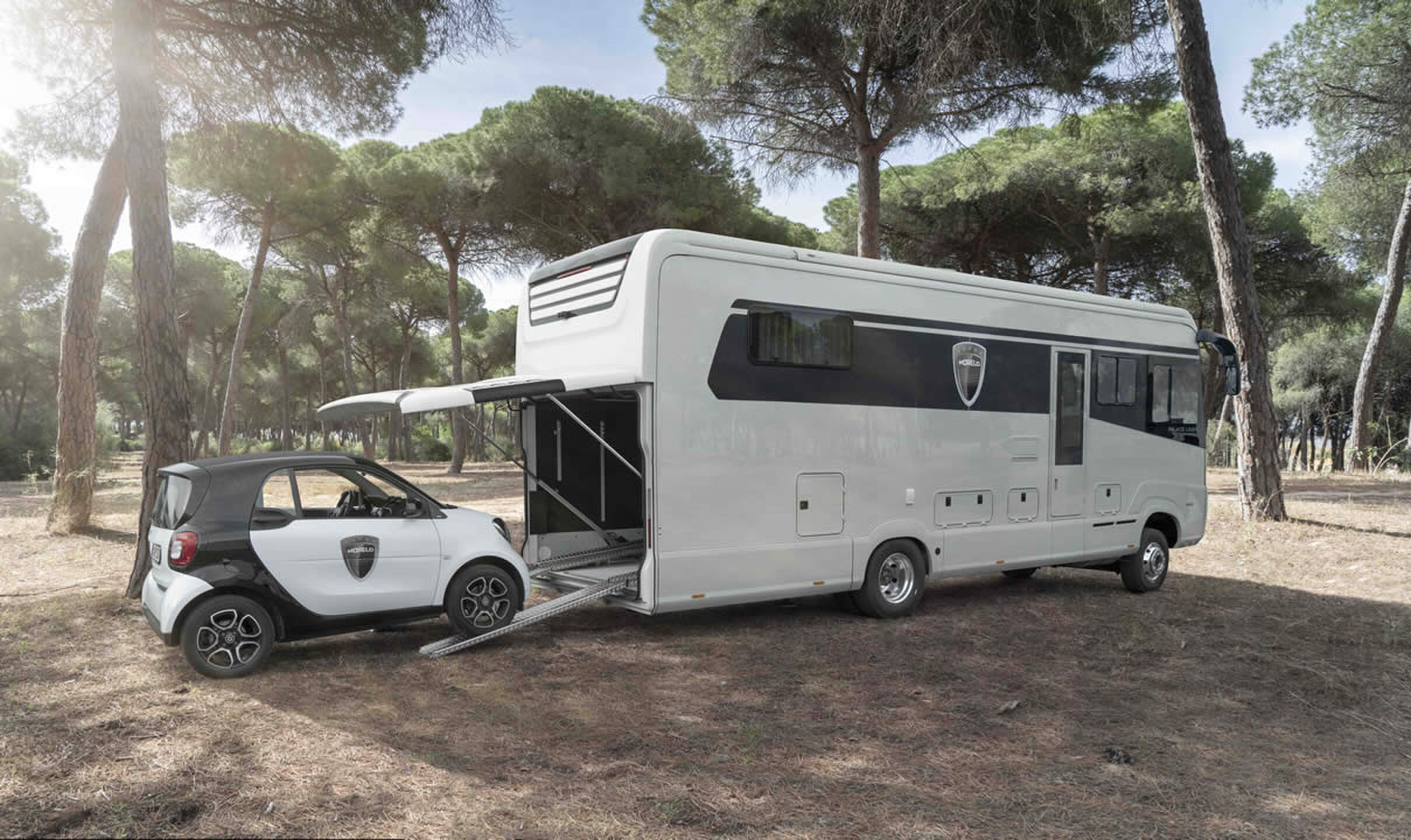 peter gillis morelo camper