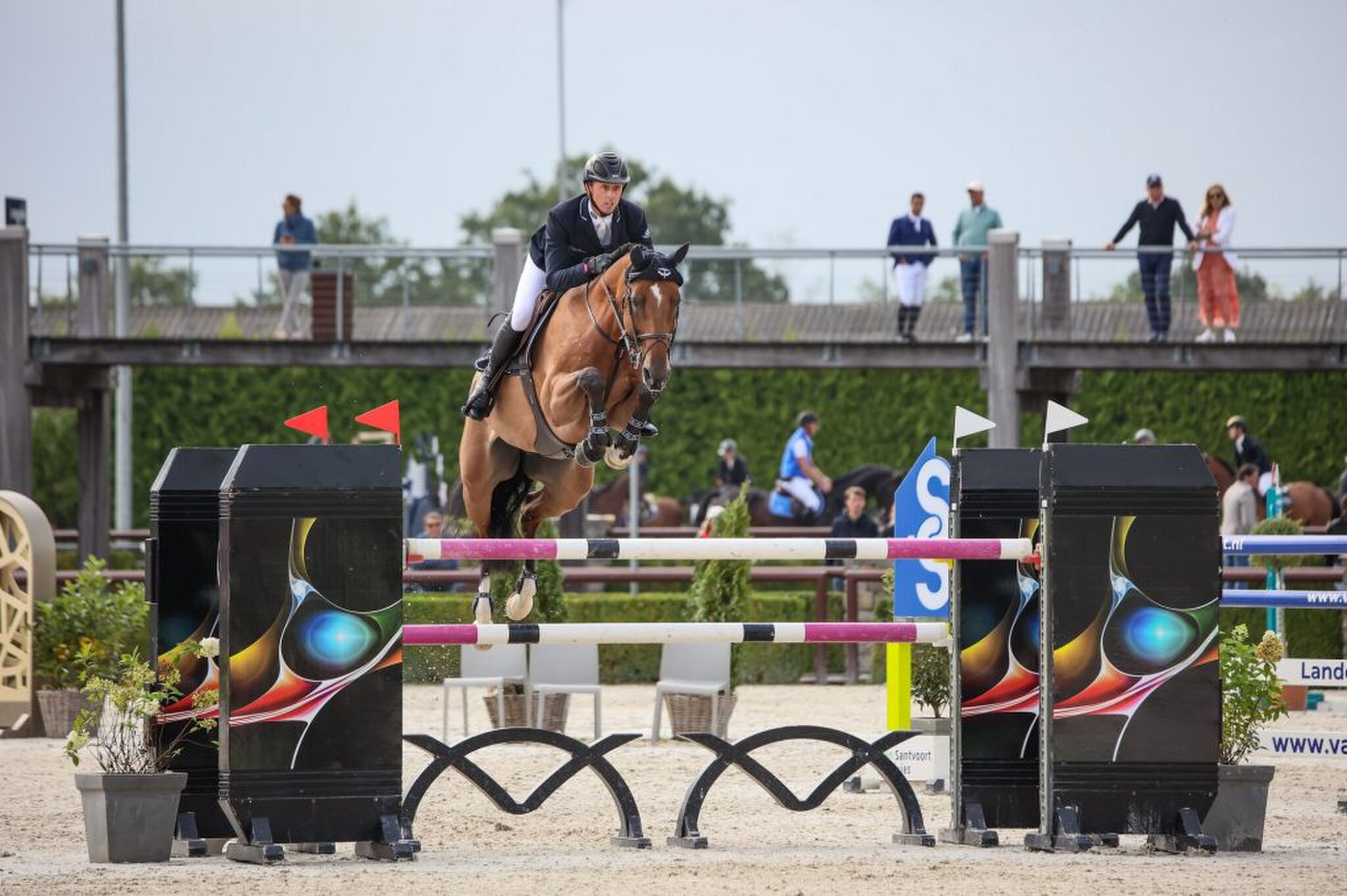 paarden evenement nederland 29032