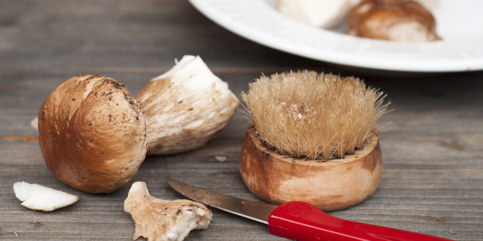 champignons