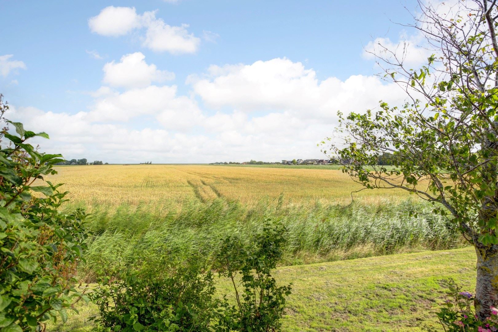friesland dijkhuis
