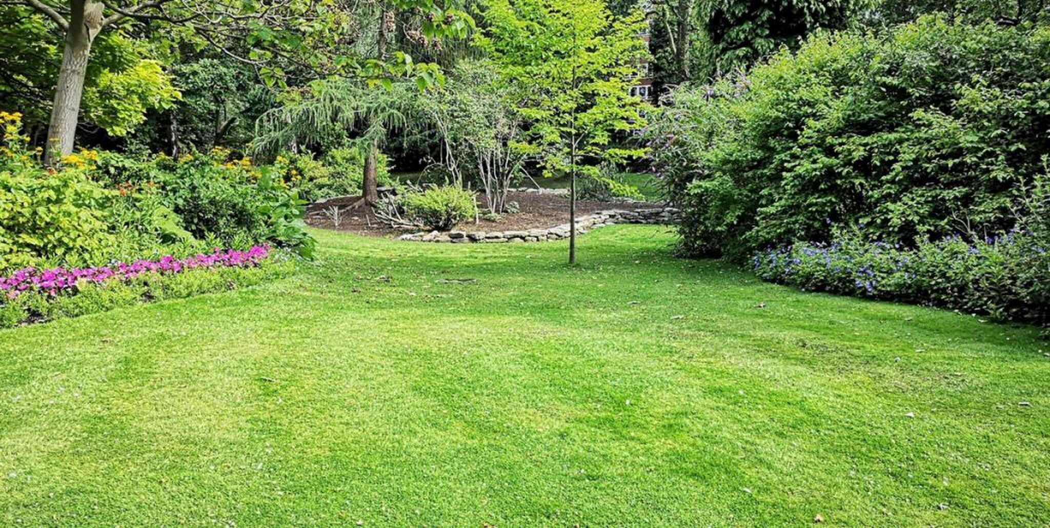 tips voor een mooi gazon