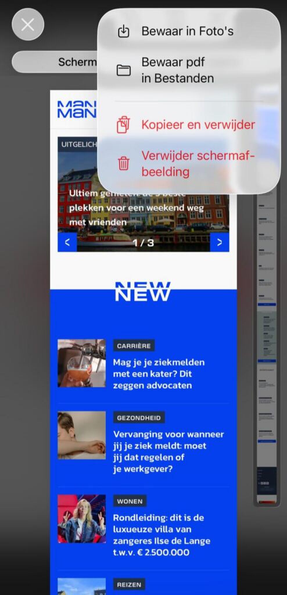 Een screenshot maken van een hele web pagina