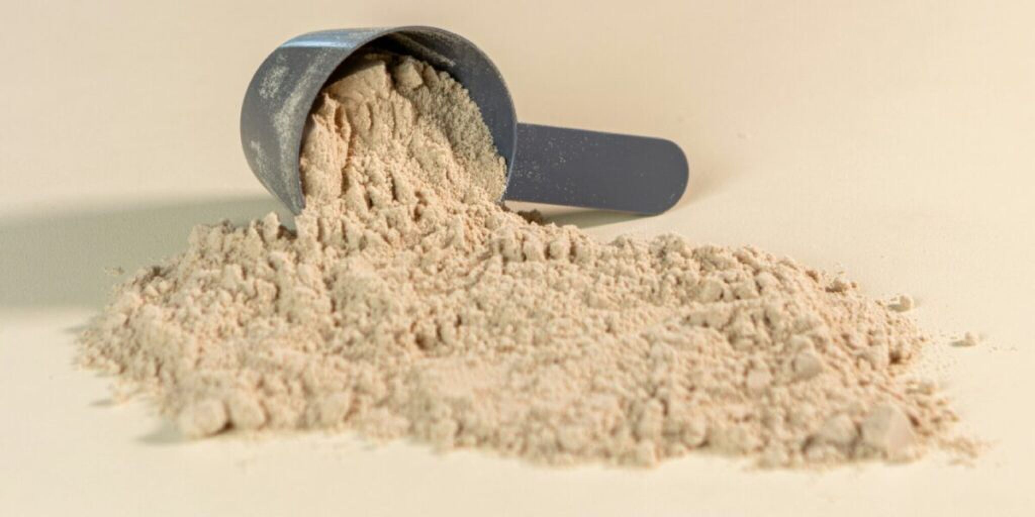 whey protein