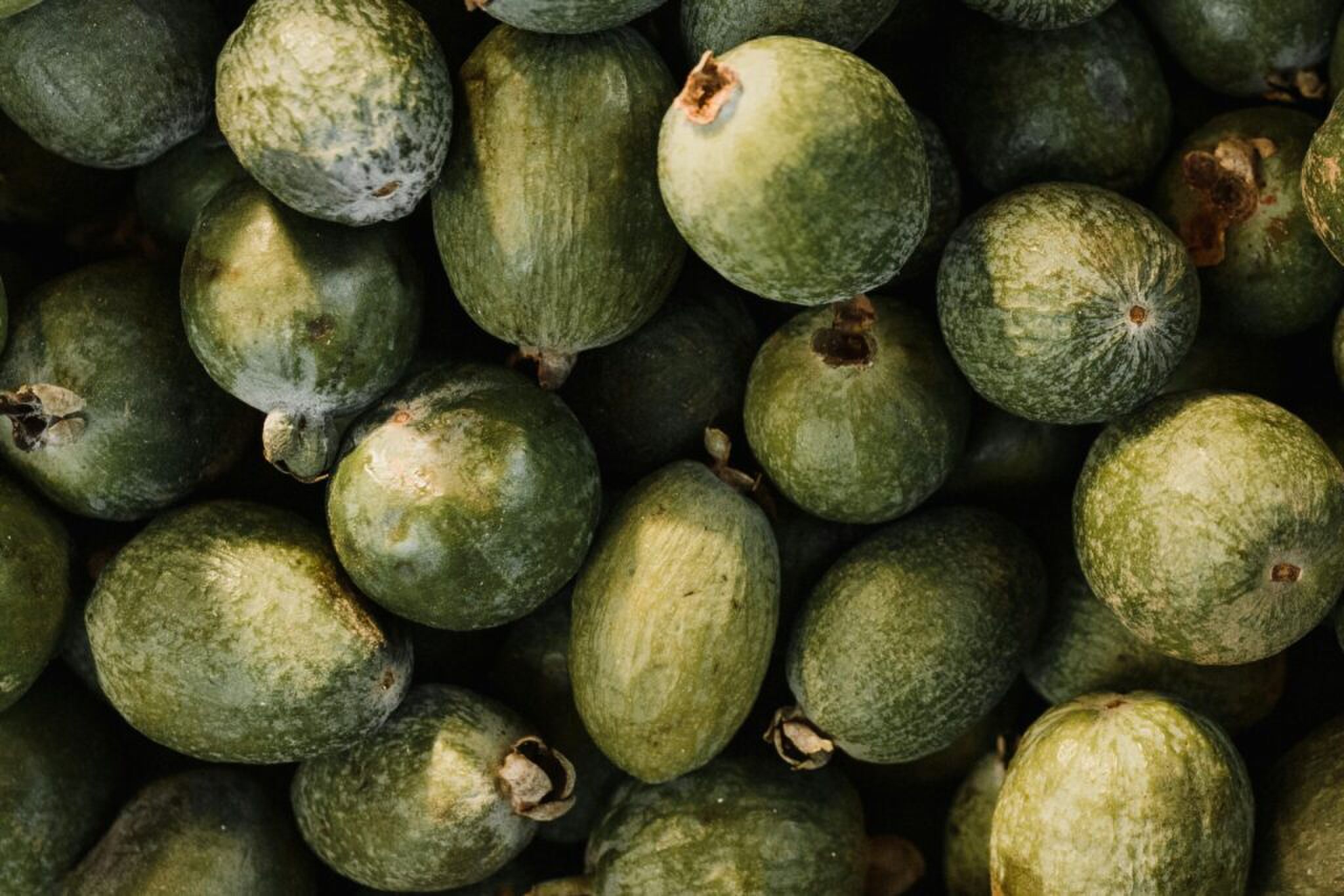 stukken guava