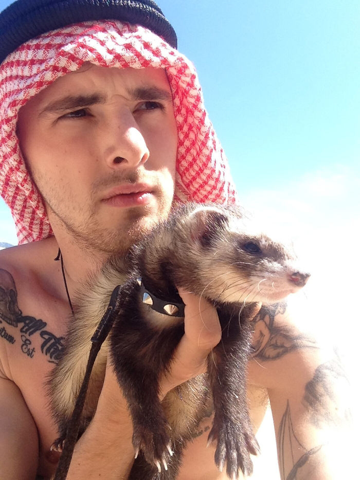 Charlie en bandit de fret