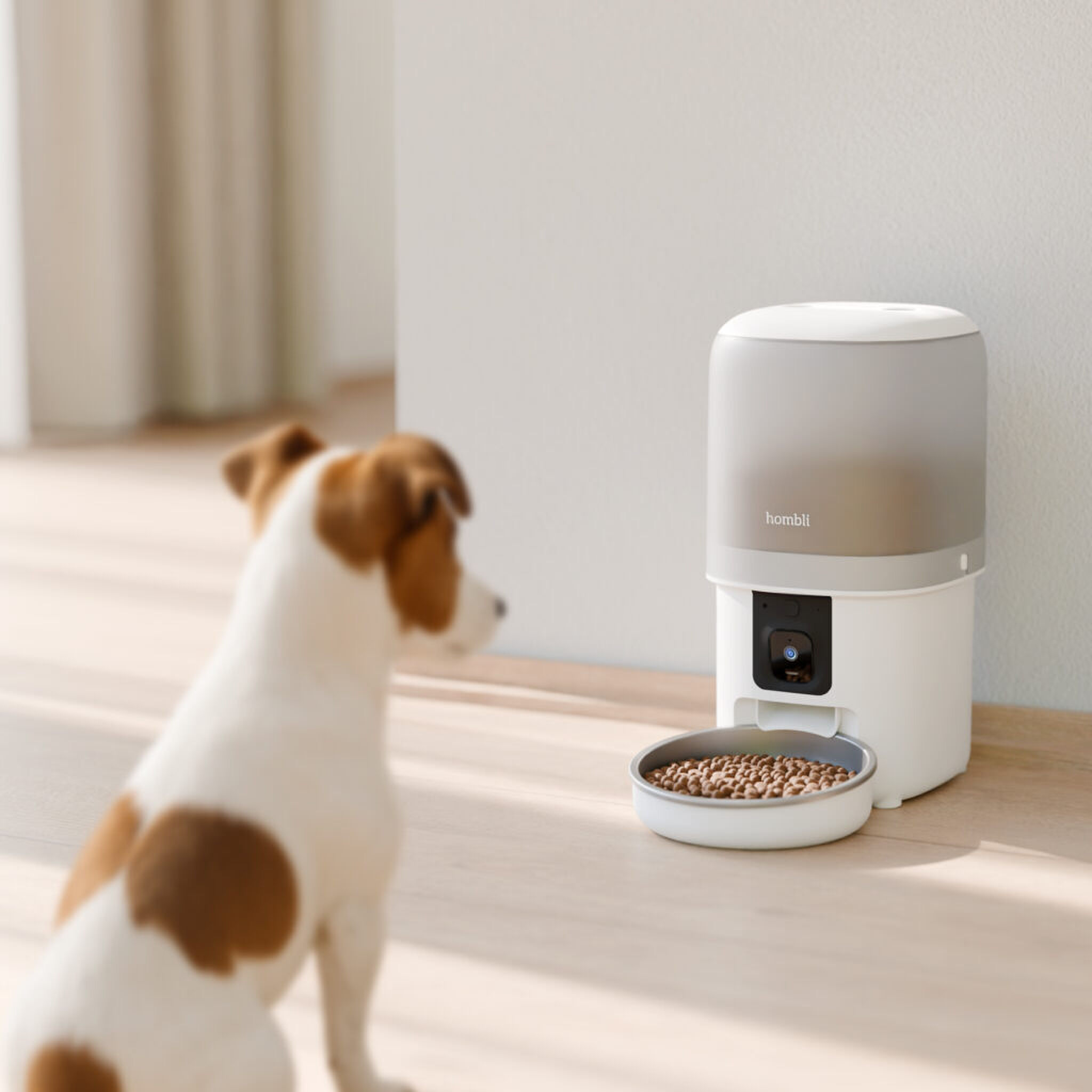 Smart pet feeder