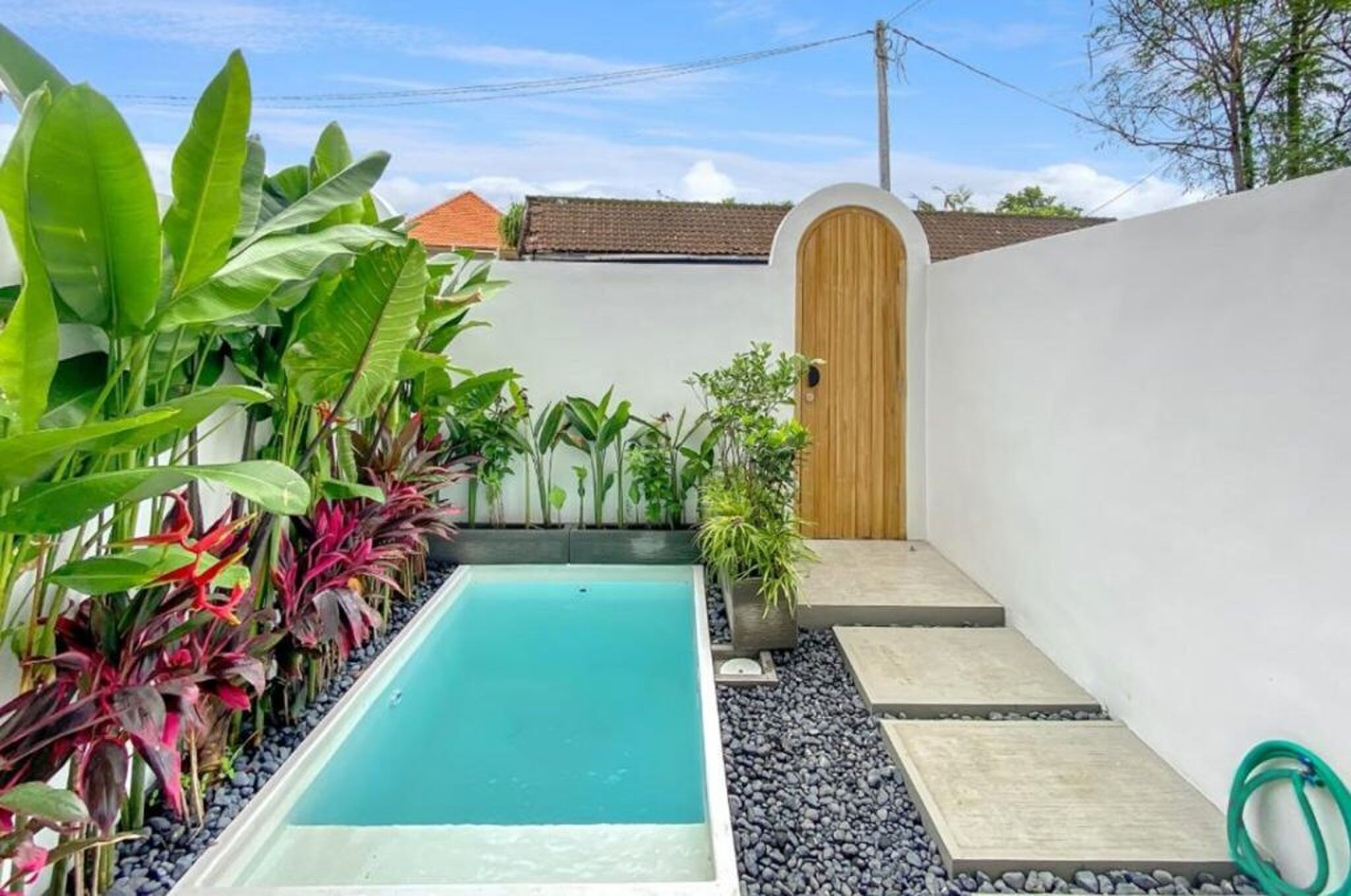 De tuin met zwembad.