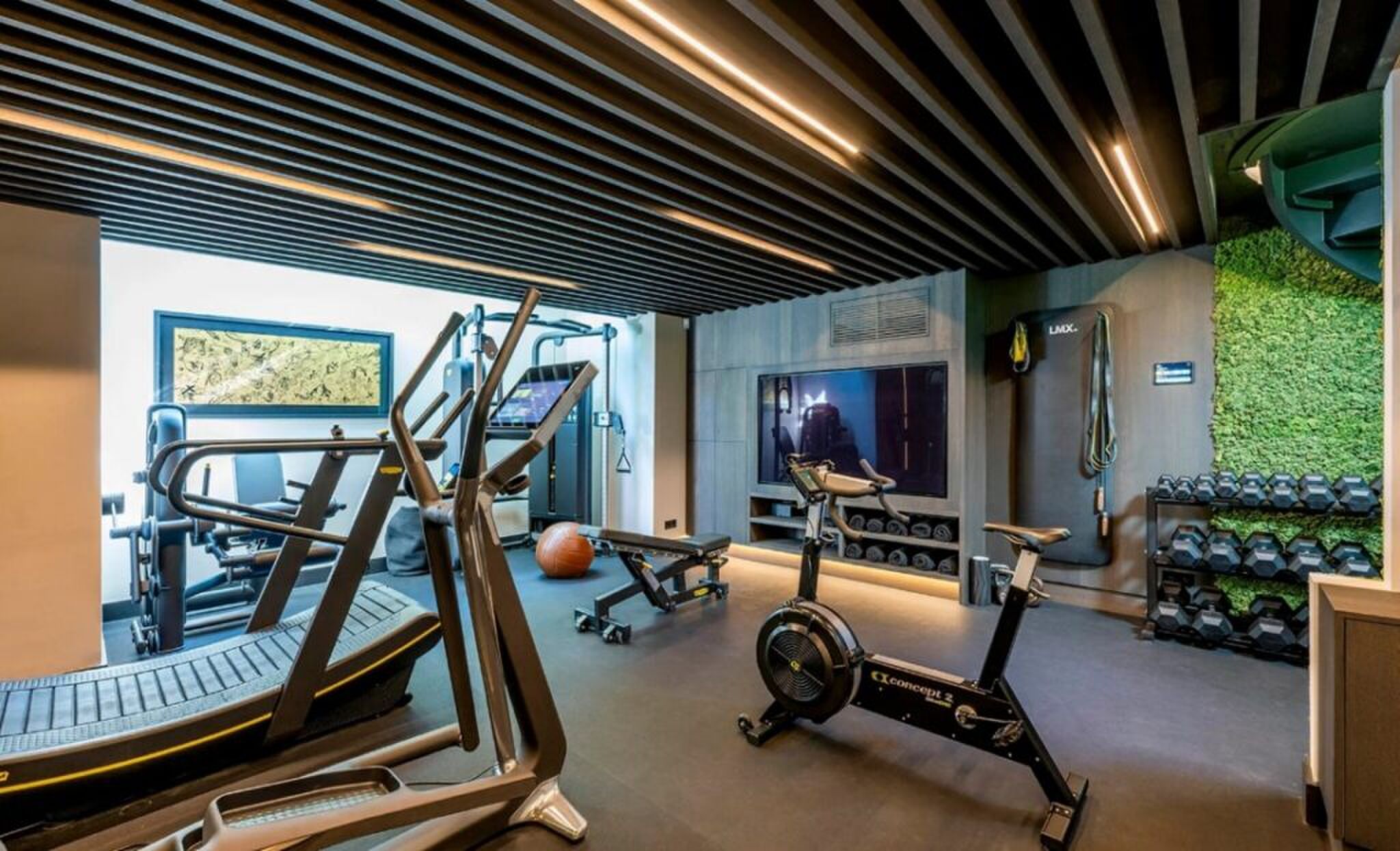 De sportschool met moswand.