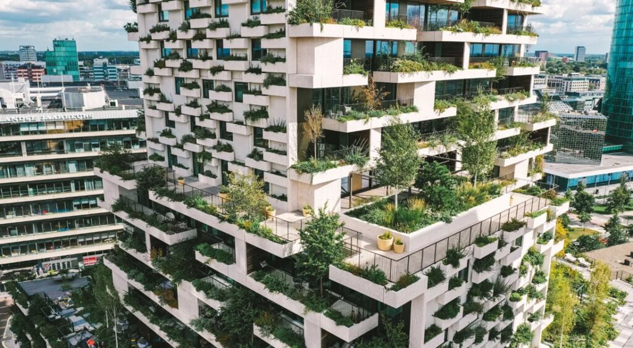 De buitenzijde van het Wonderwoodsgebouw.